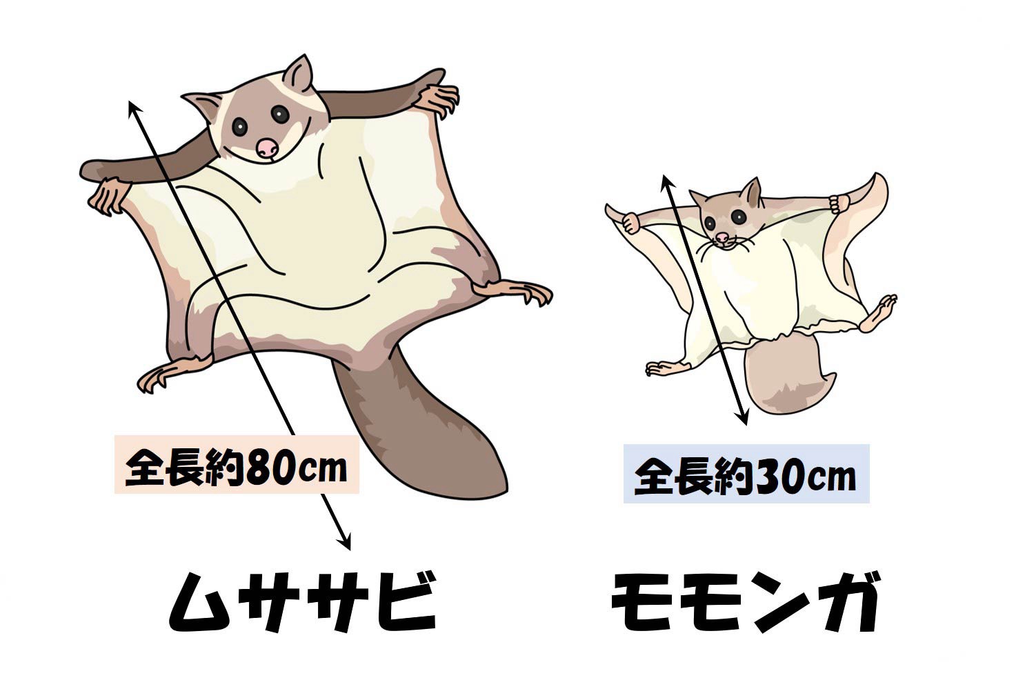 雑談枠