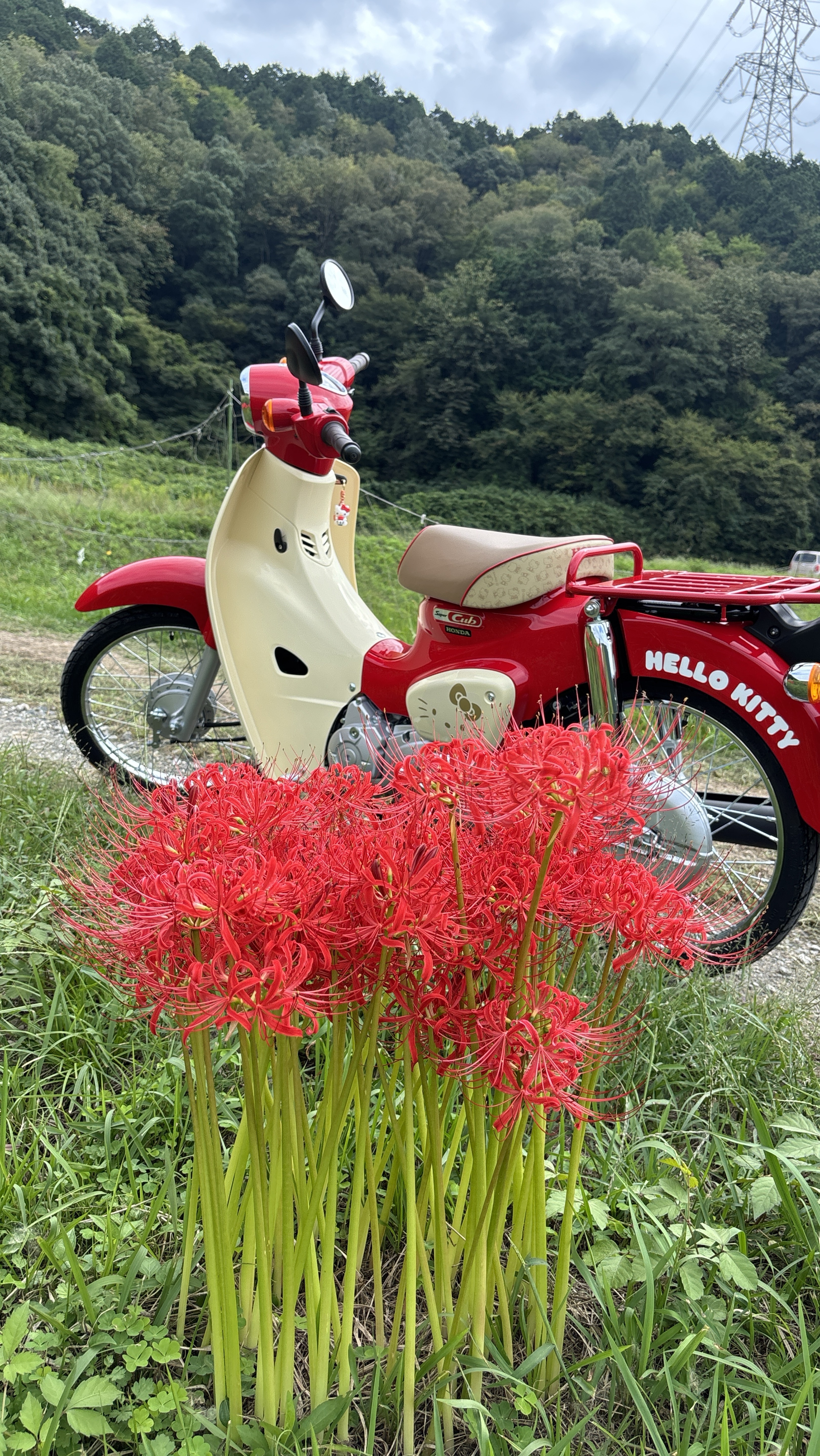 Cafeたこつぼ