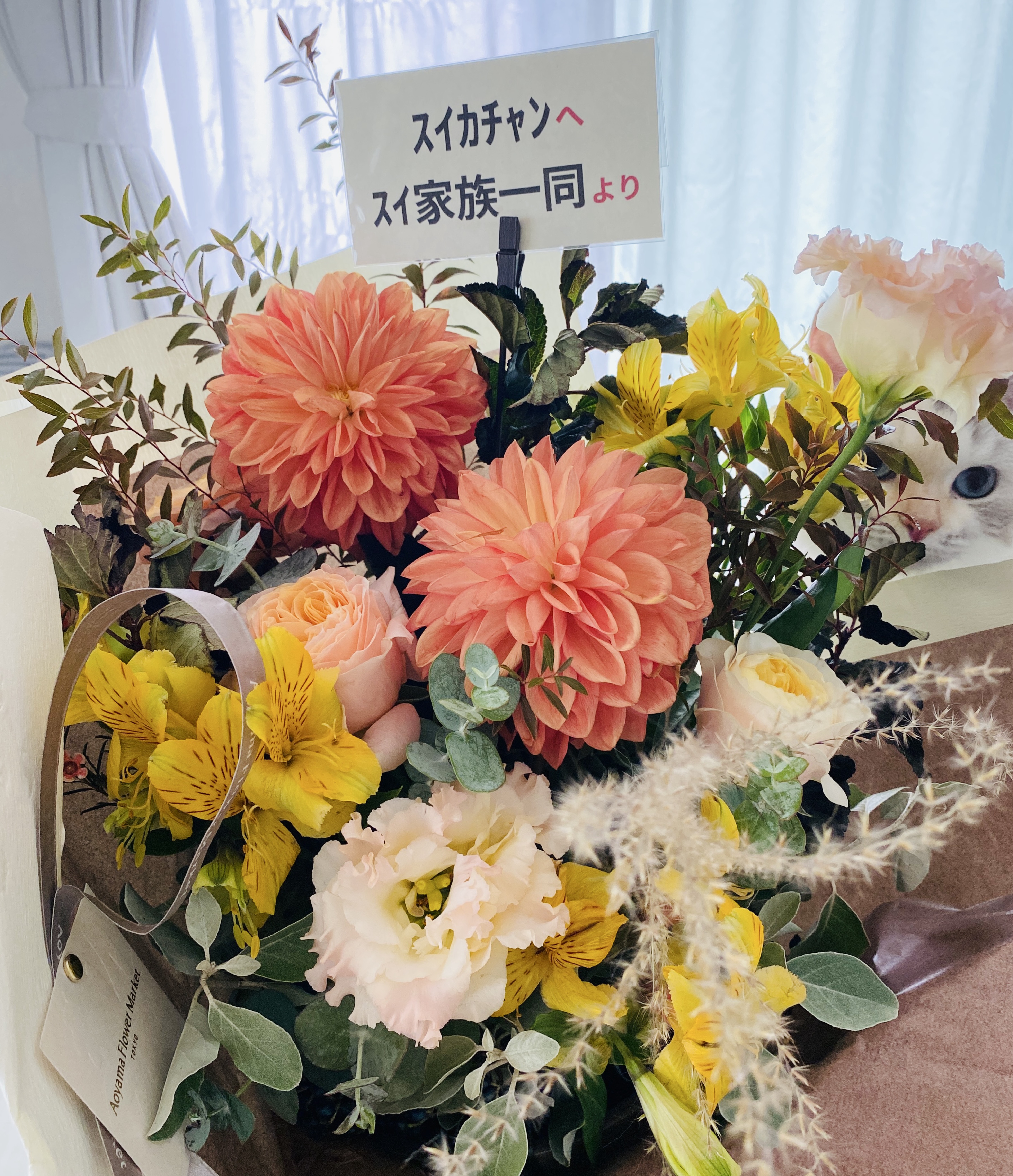 ライブありがとう🍉