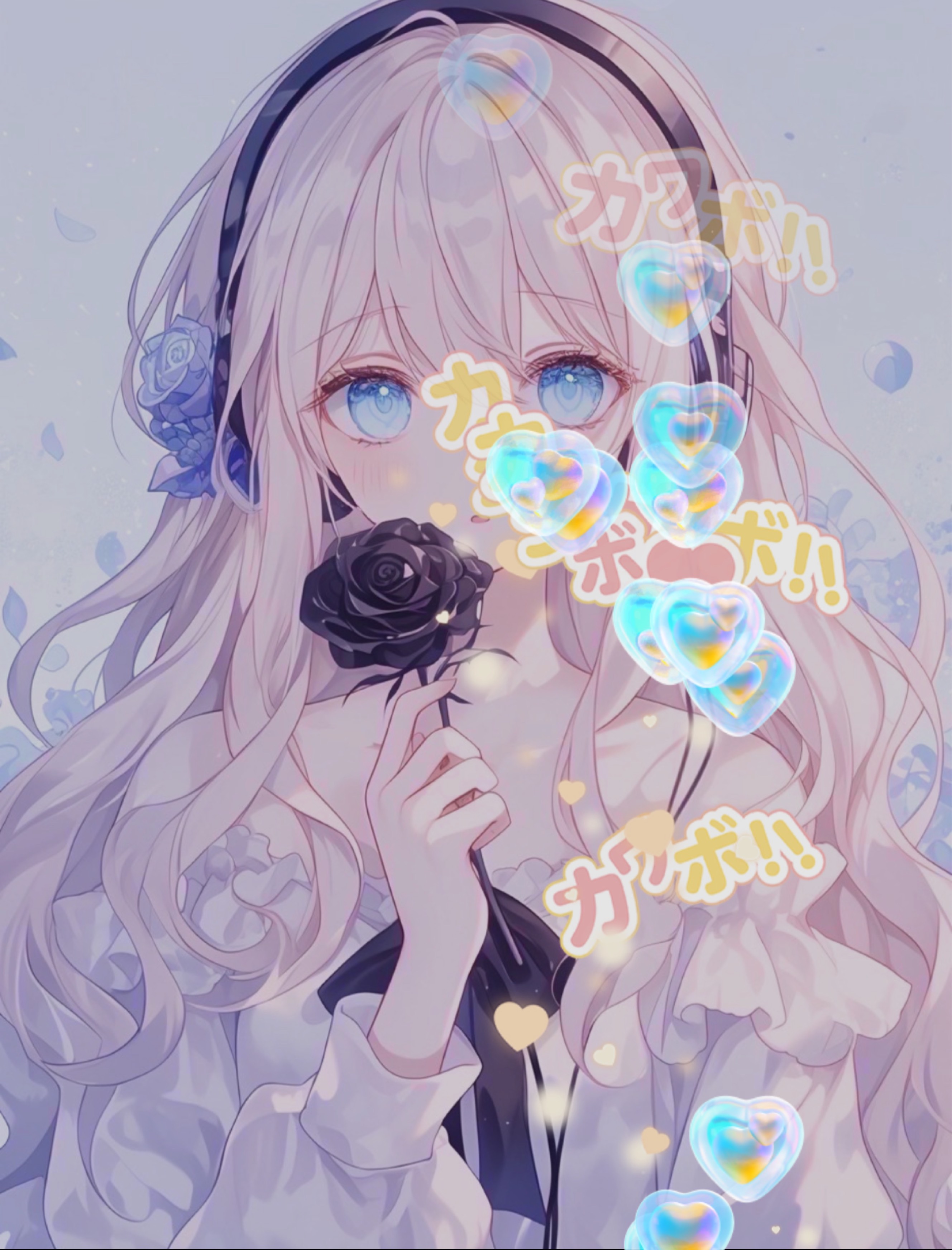ばんわ❕