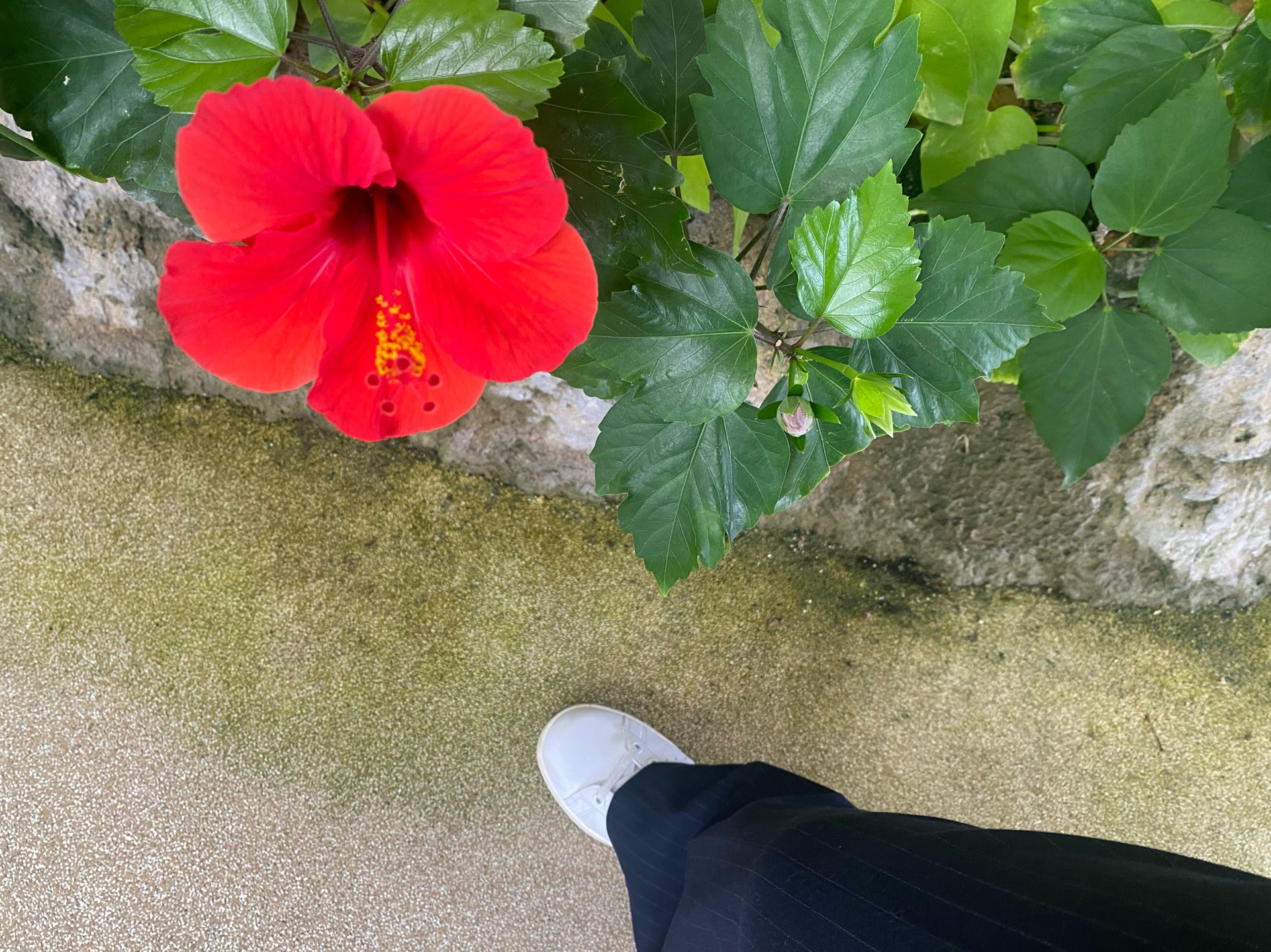 初潜🙆🏻‍♀️夜中の🐮ྀི