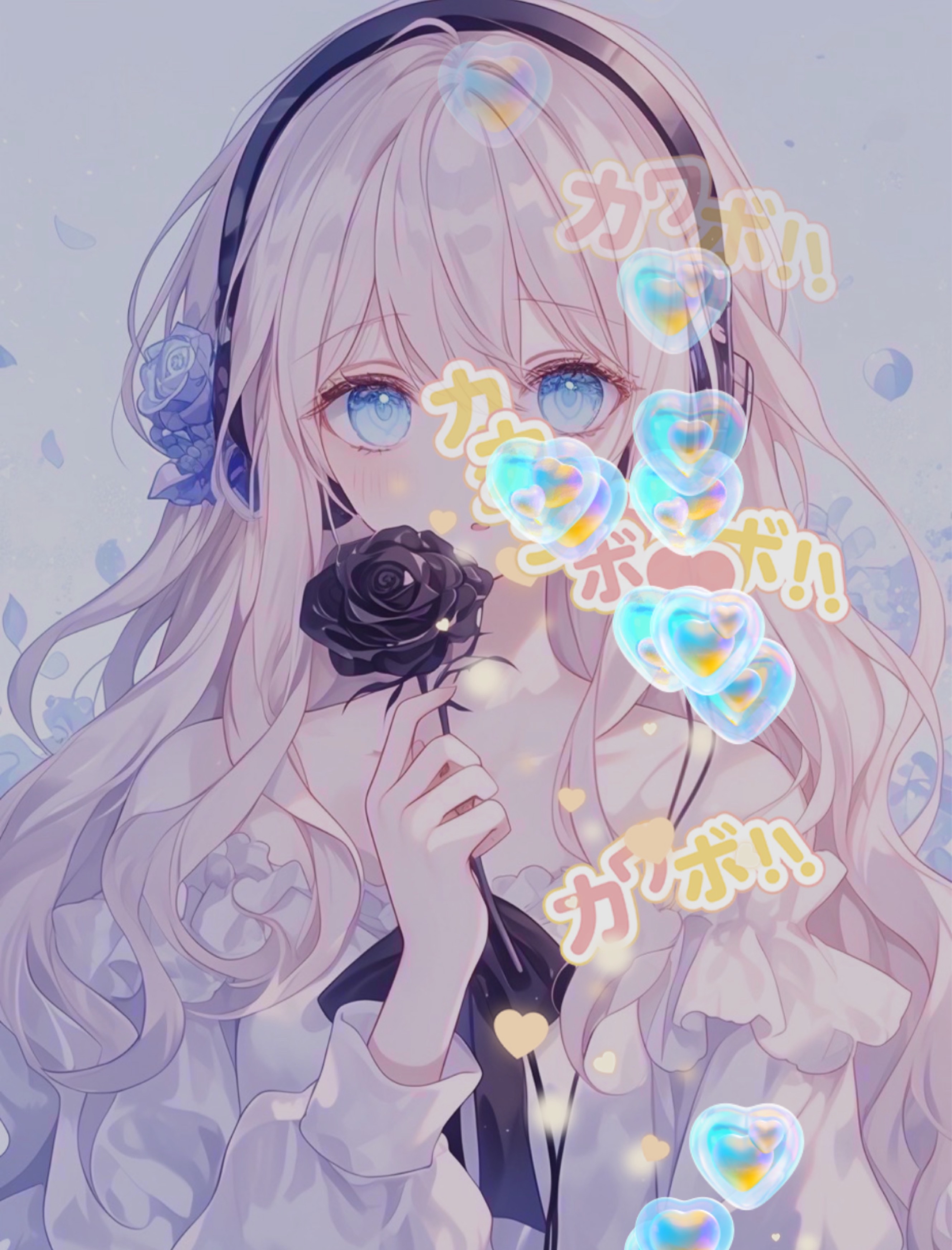 ばんわ❕