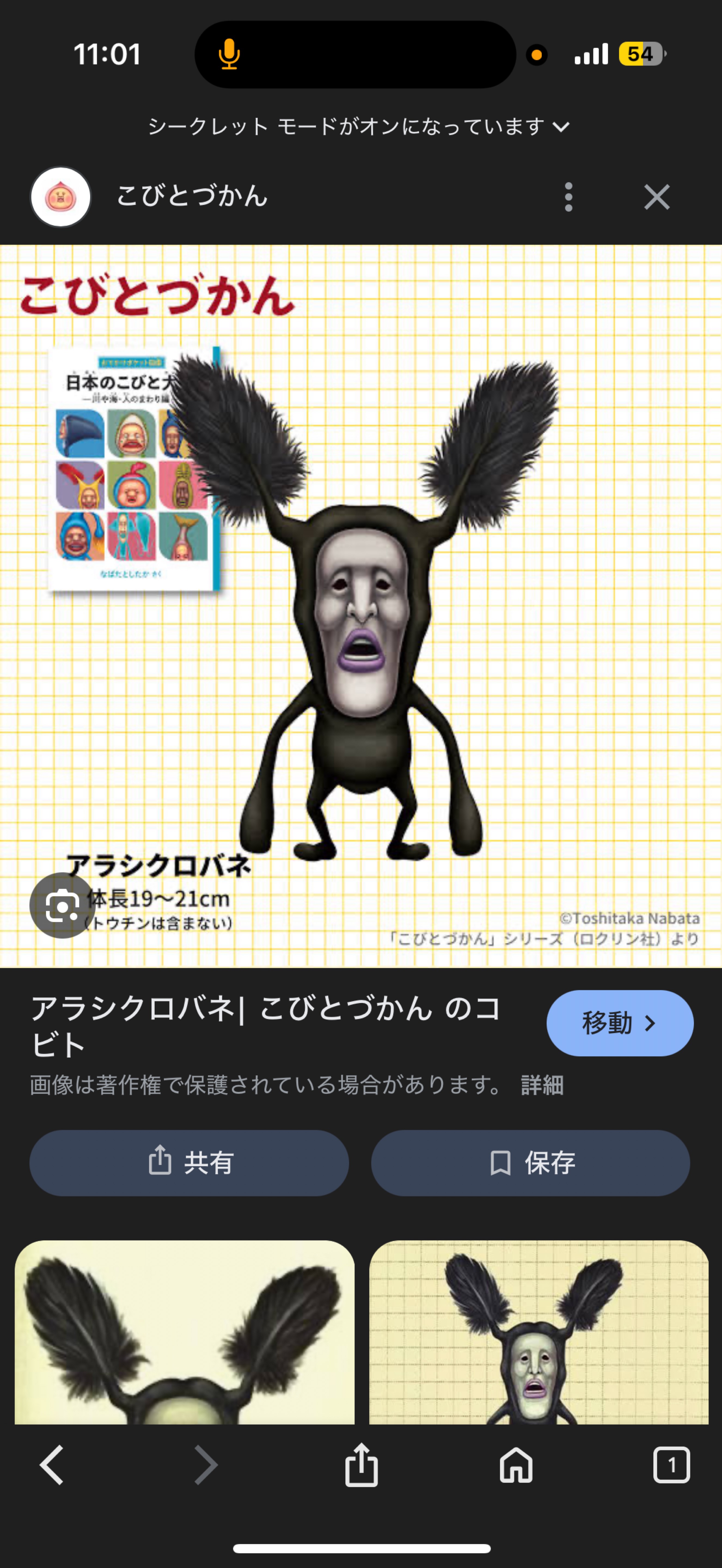 𝐂𝐚𝐥𝐦.