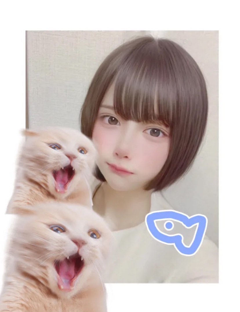 まったり𓎡⡱