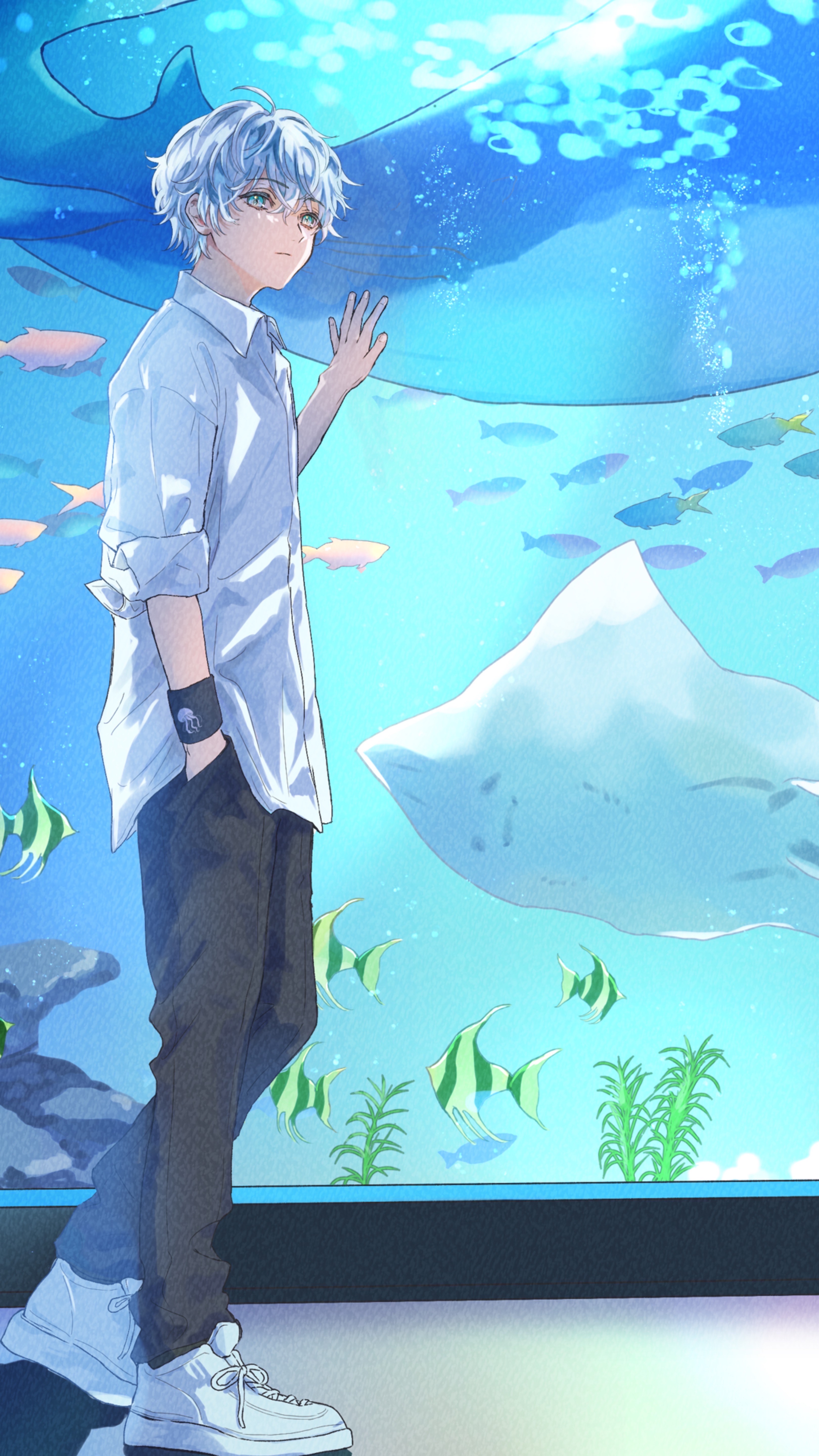 すいそうきぶん𓂃◌𓈒𓐍