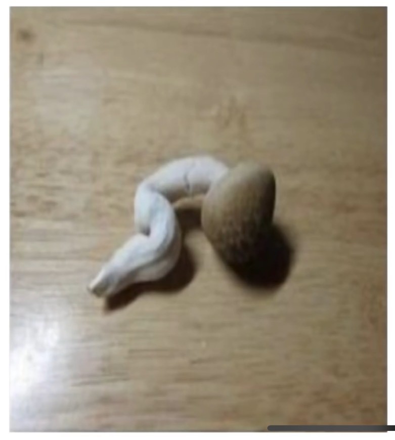初寝潜〇画像でボケて!
