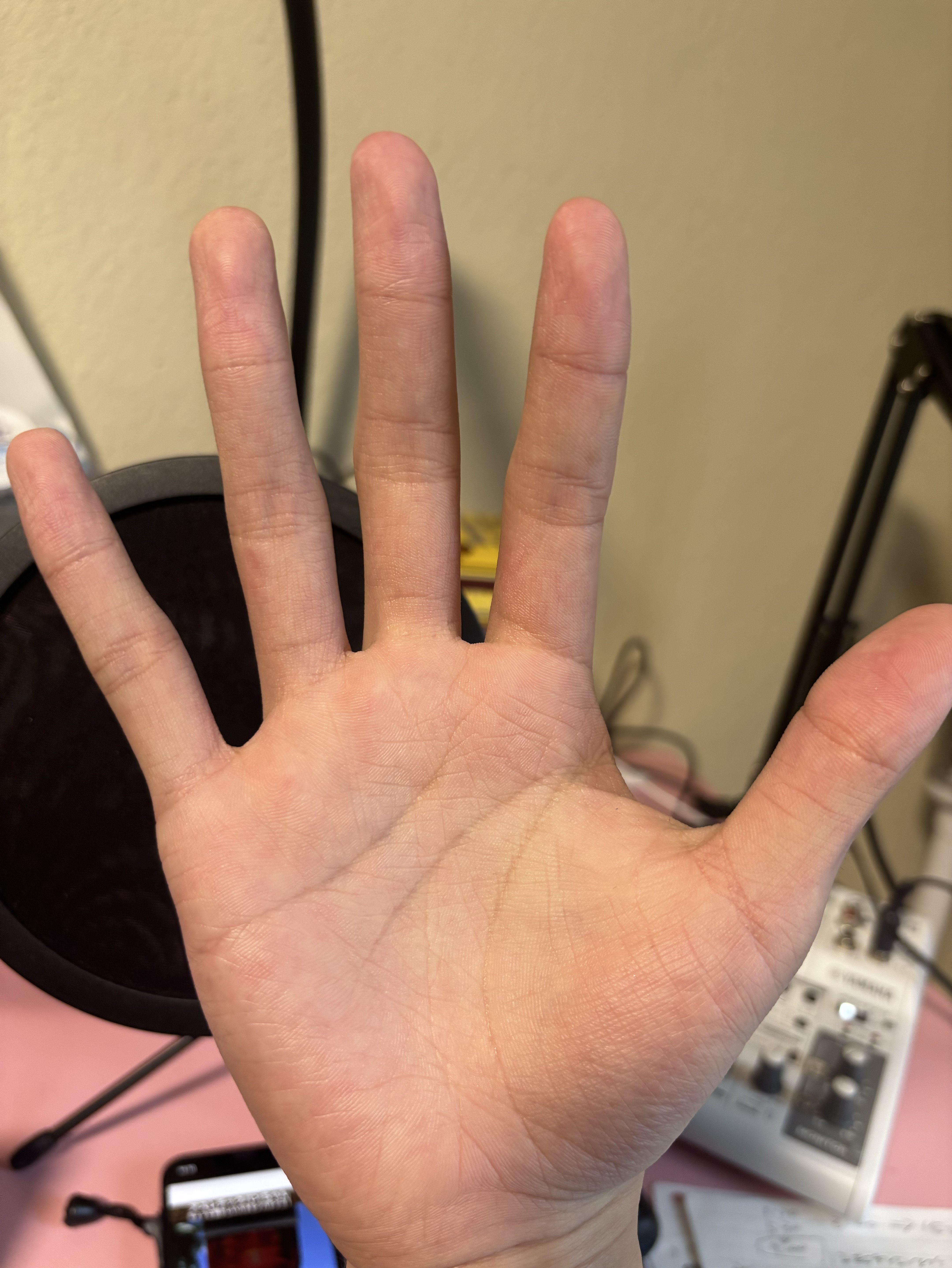 金曜日のお覇王☀️✊