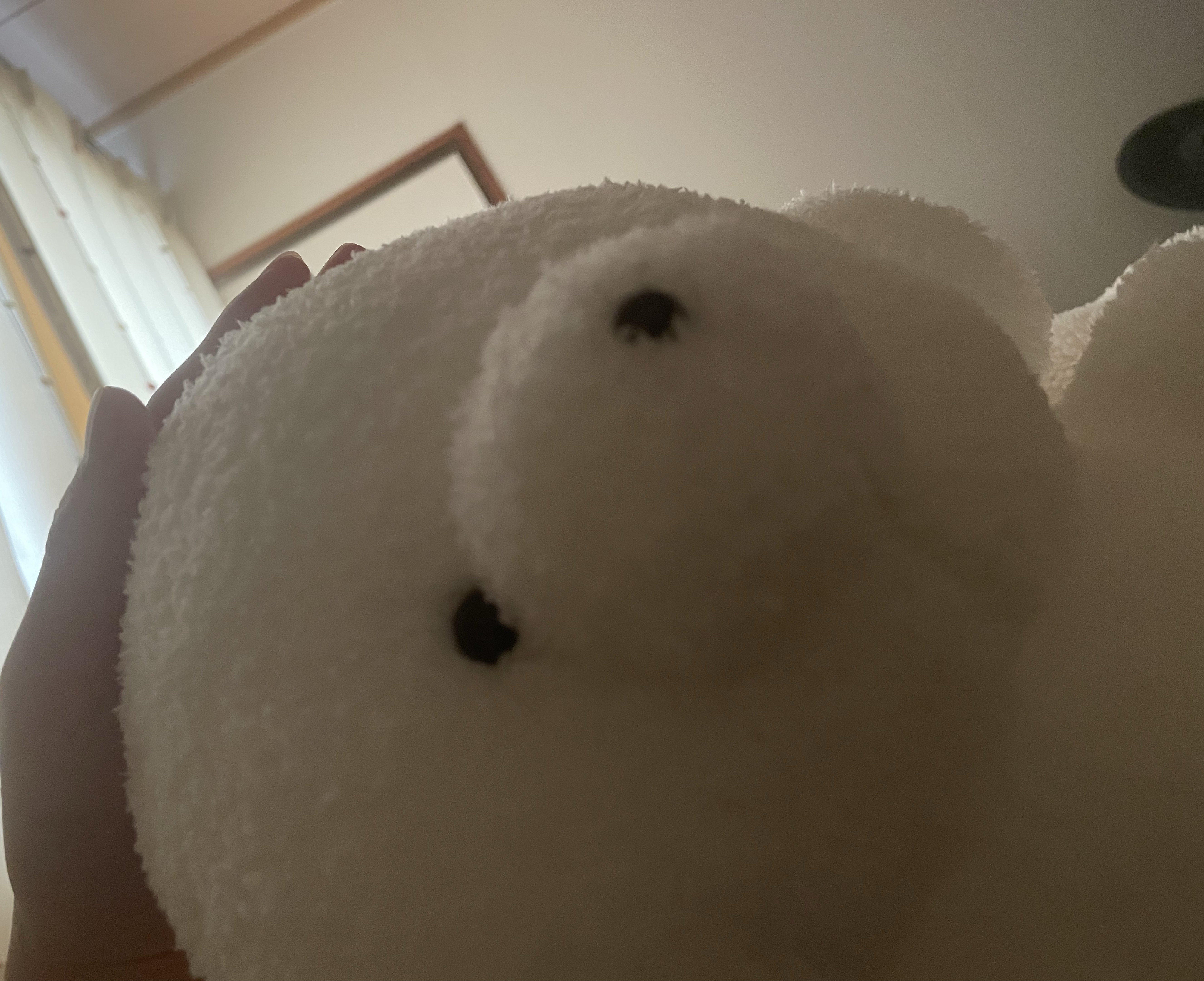 ねむりにつくぞ