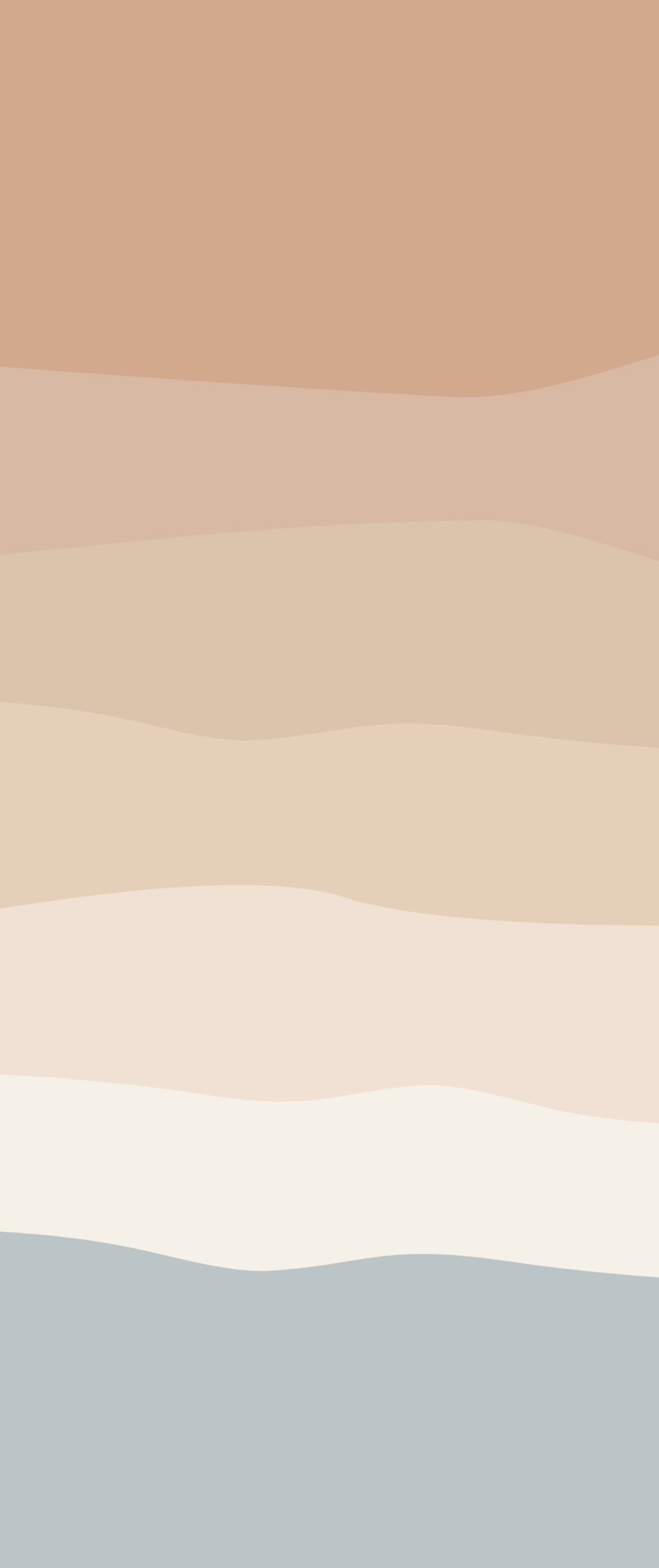 おはよう仕事枠