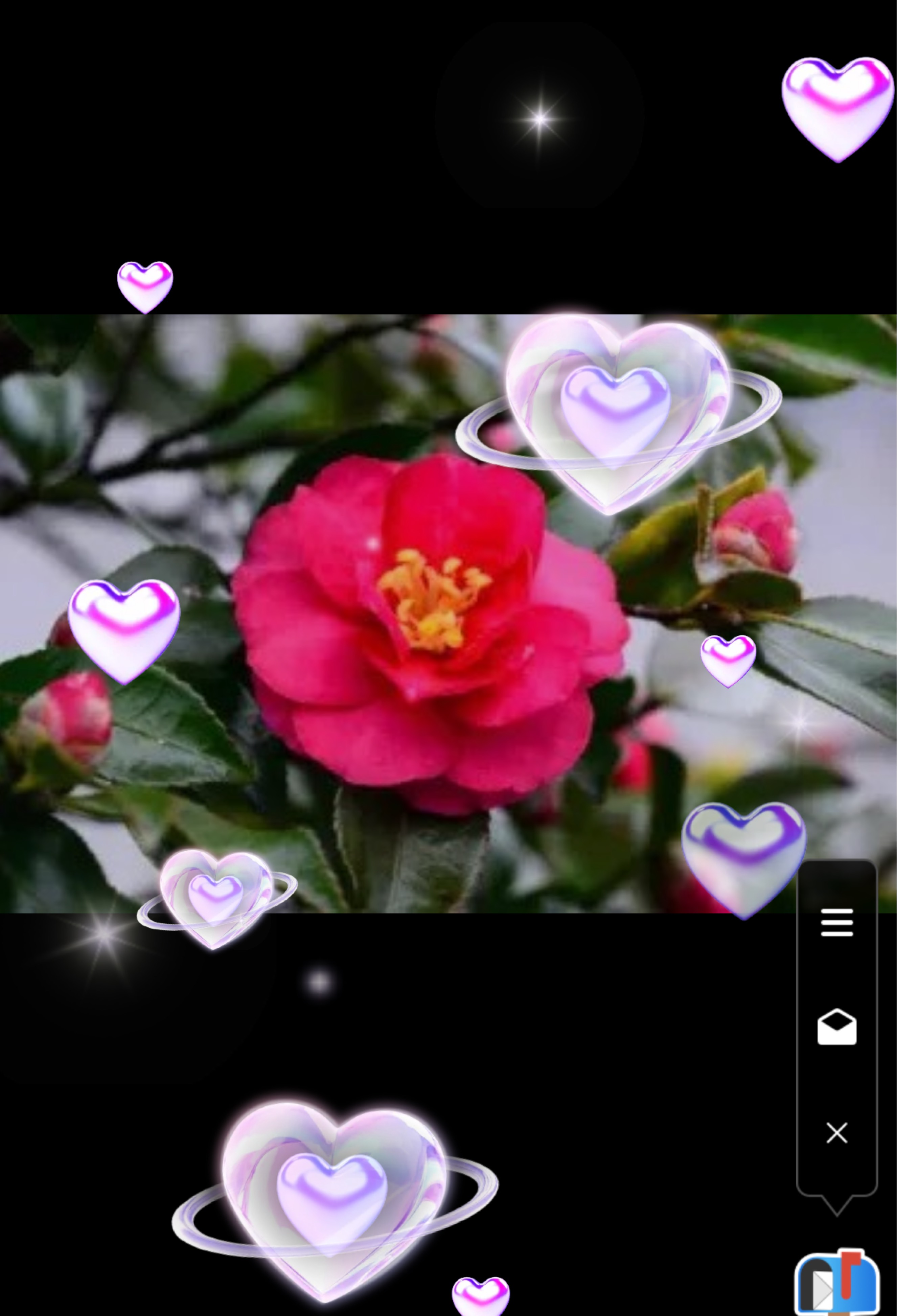 雑談枠 NEXT CHOICE感謝