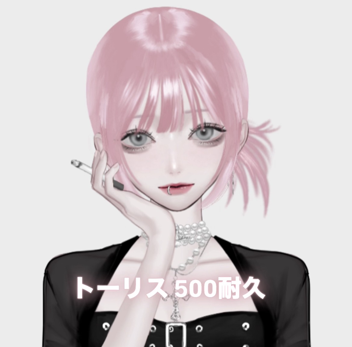 初潜◎¦トーリス500耐久