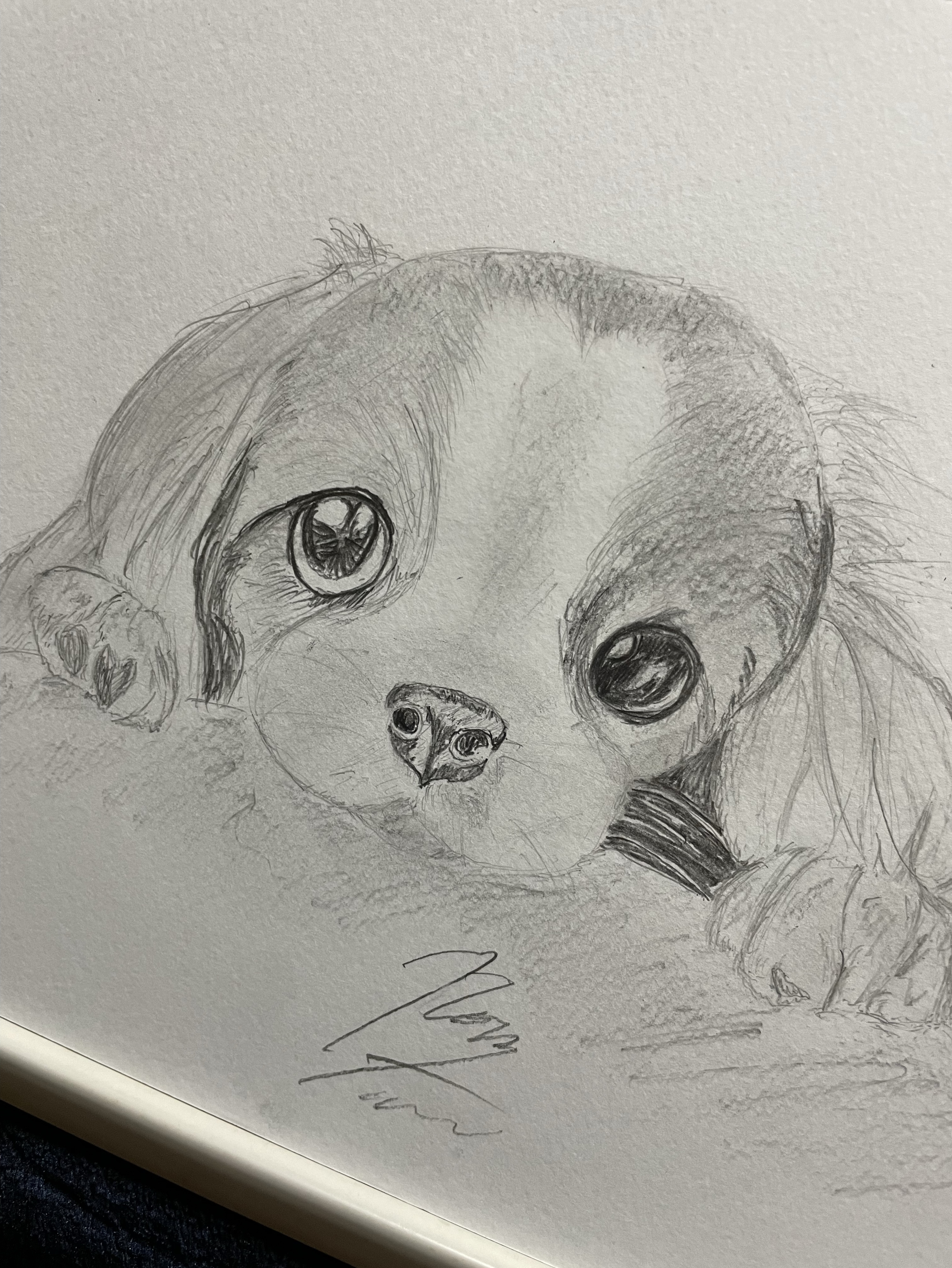 初見〇低音おじの昼ラジオ2