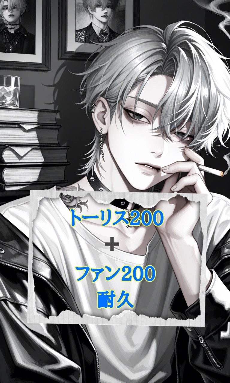 トーリス200fan200耐久‼️