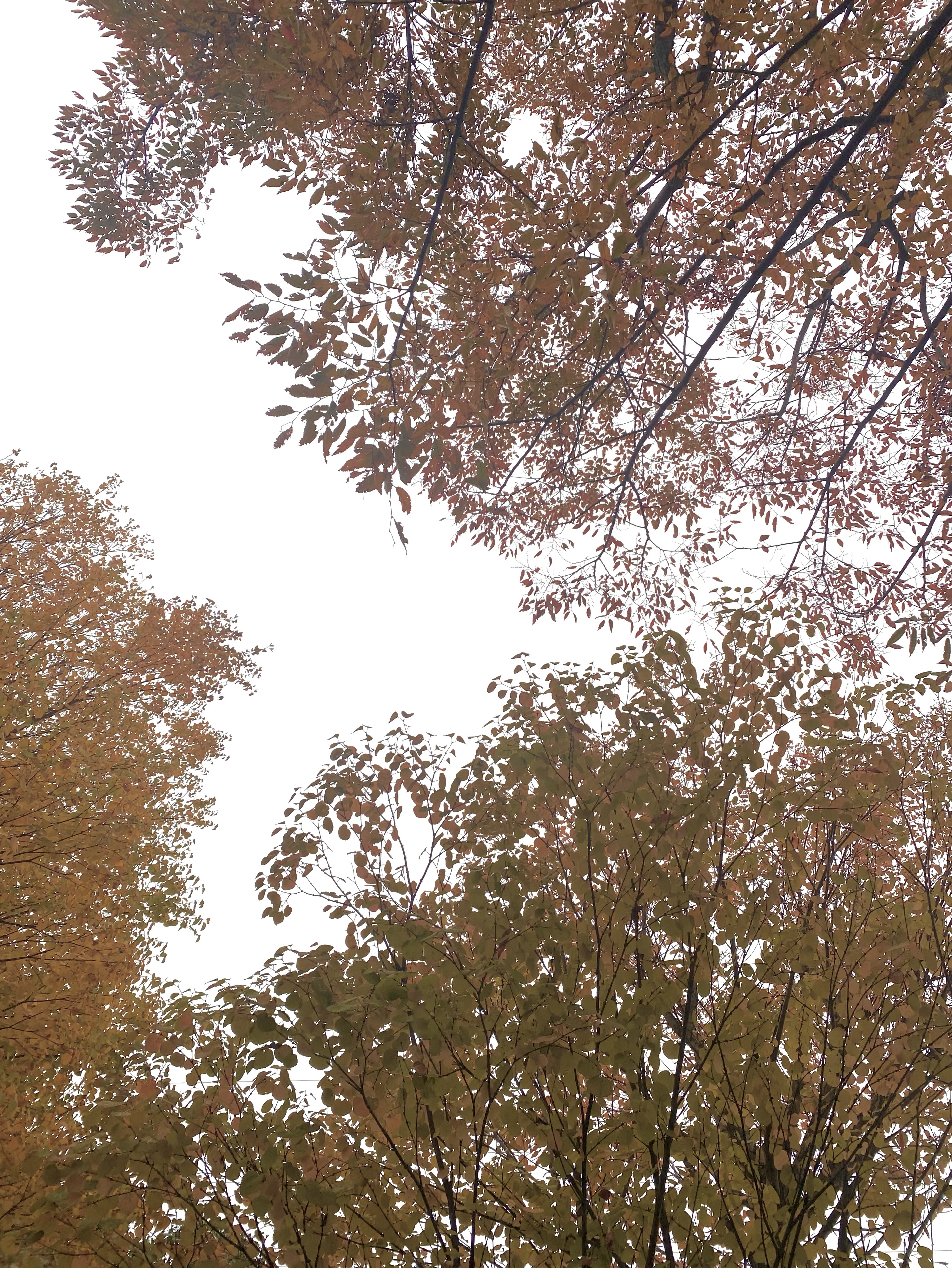 荷造り女¦生活音ごそごそ