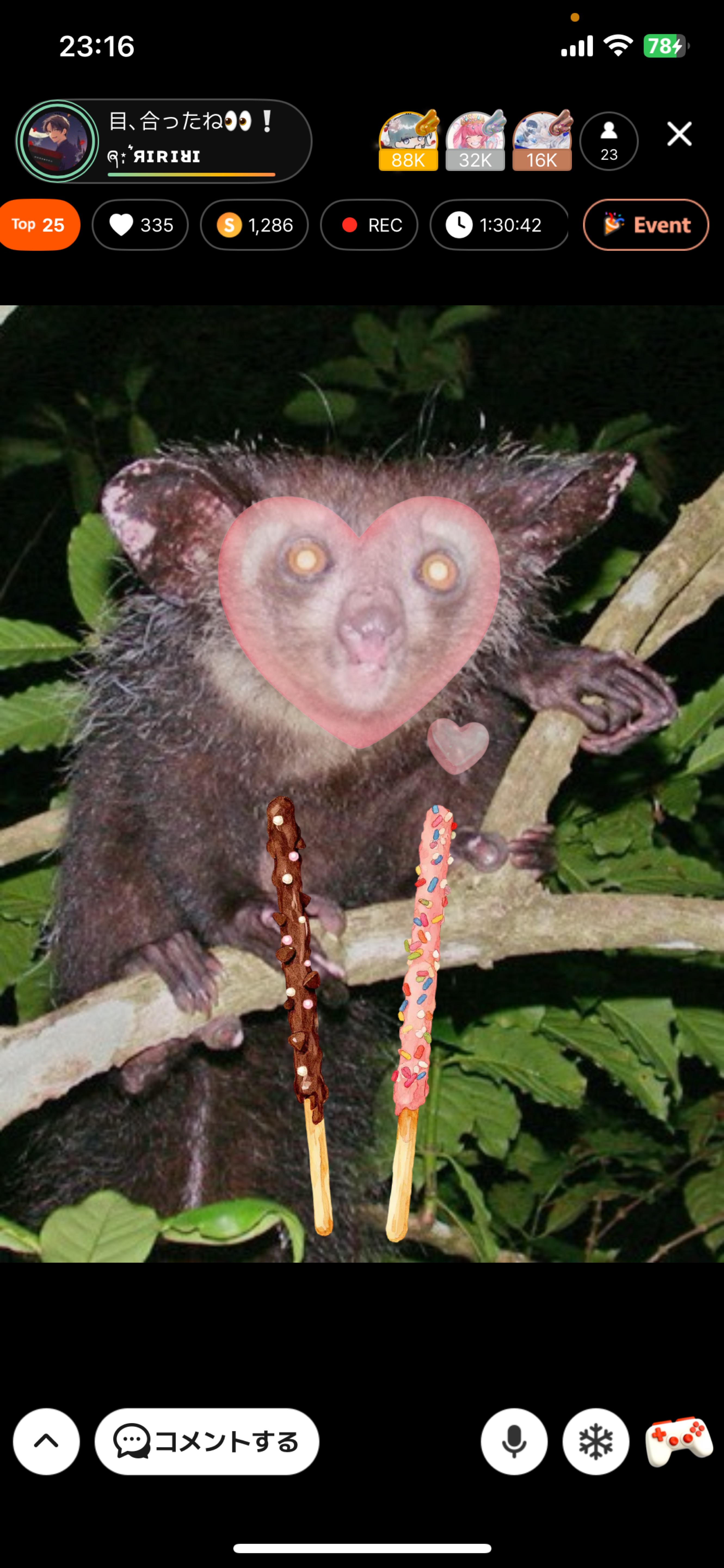 目、合ったね👀❕