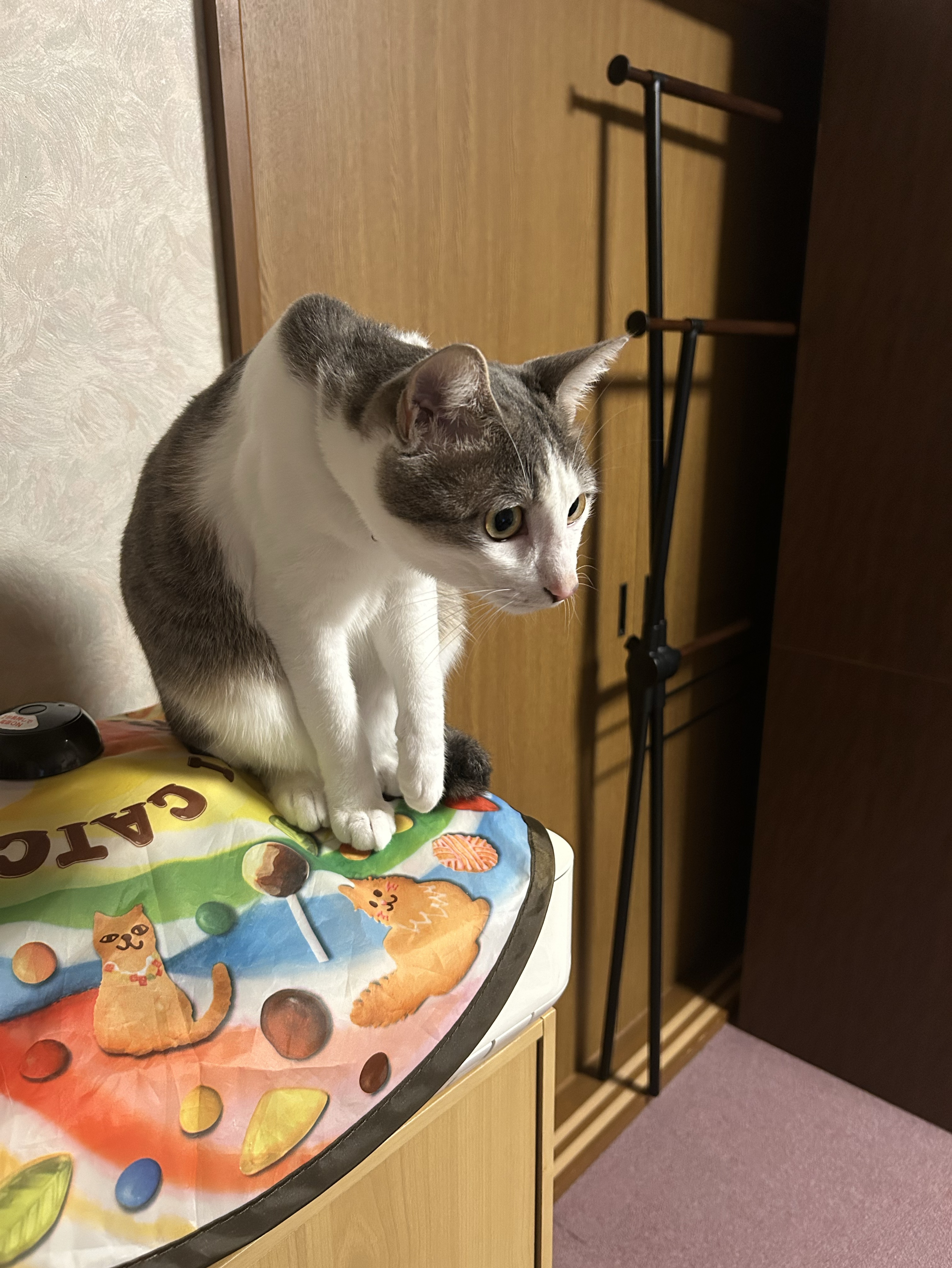 中低音/介護福祉士 元気×まったりを