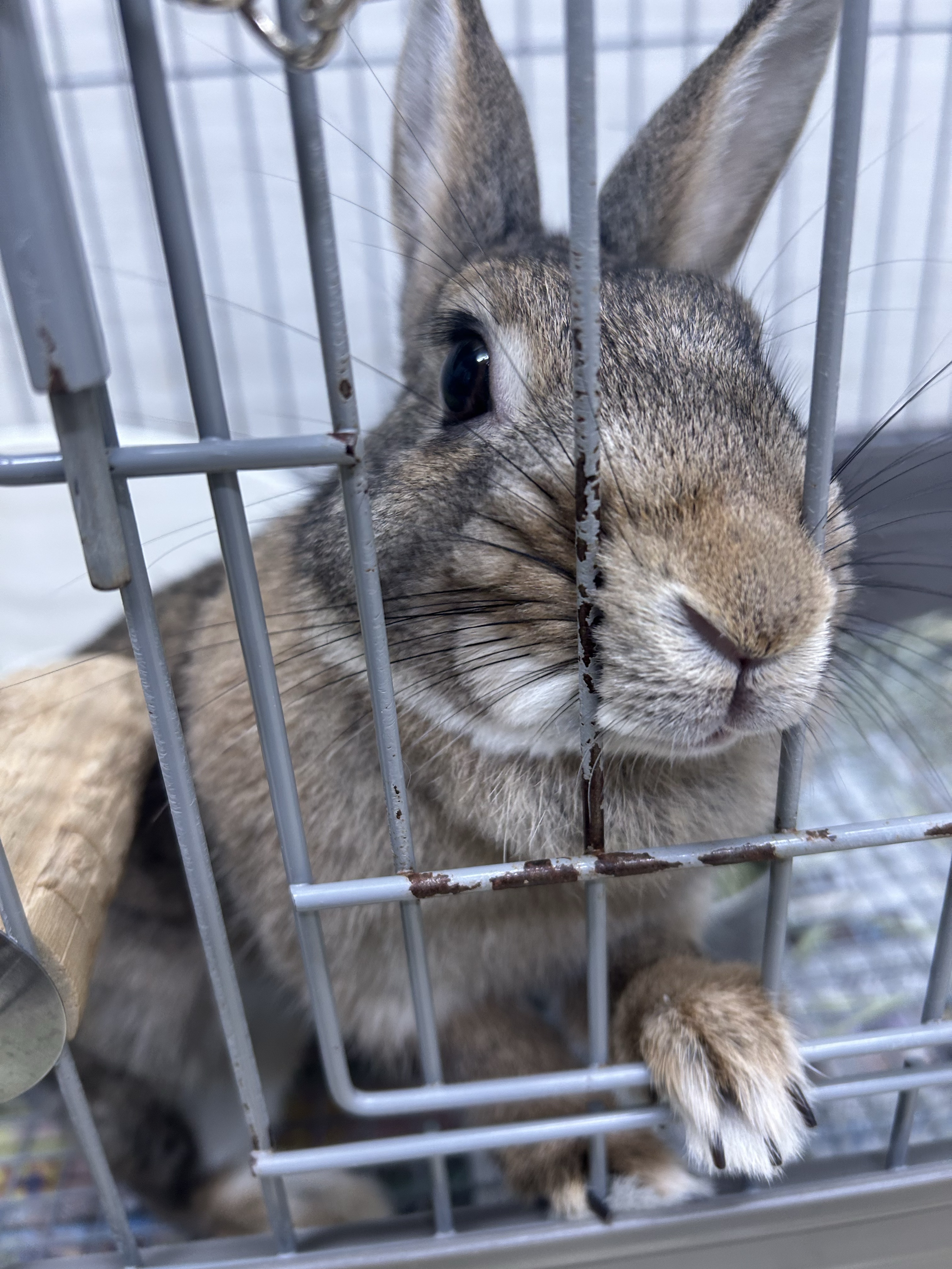 話せたら嬉しい！！！