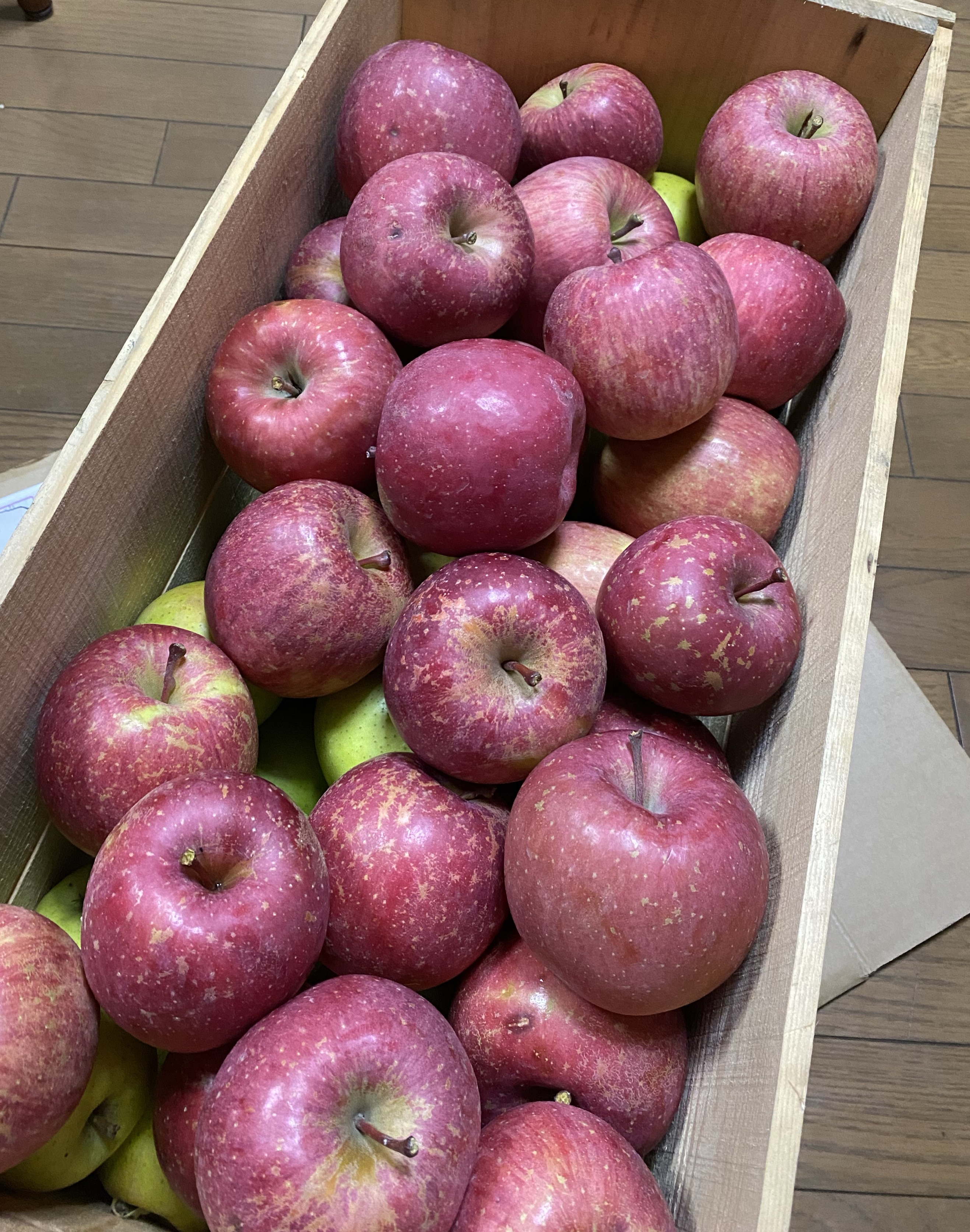 【初◎潜り◎】おはよ