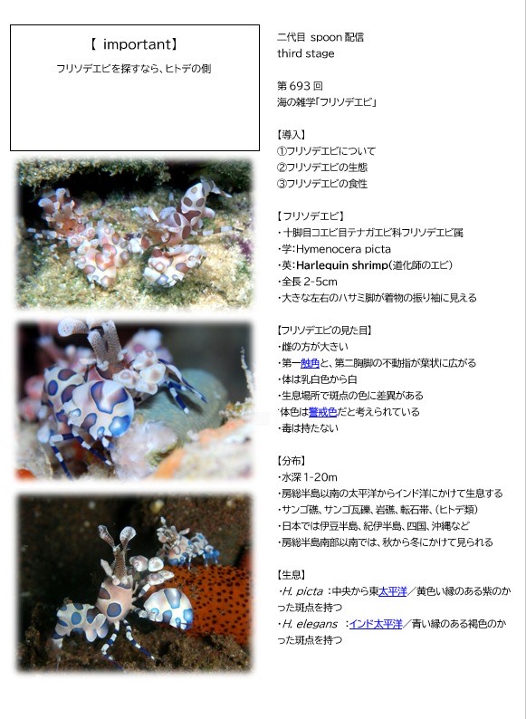 第693回／フリソデエビ／潜〇初◎