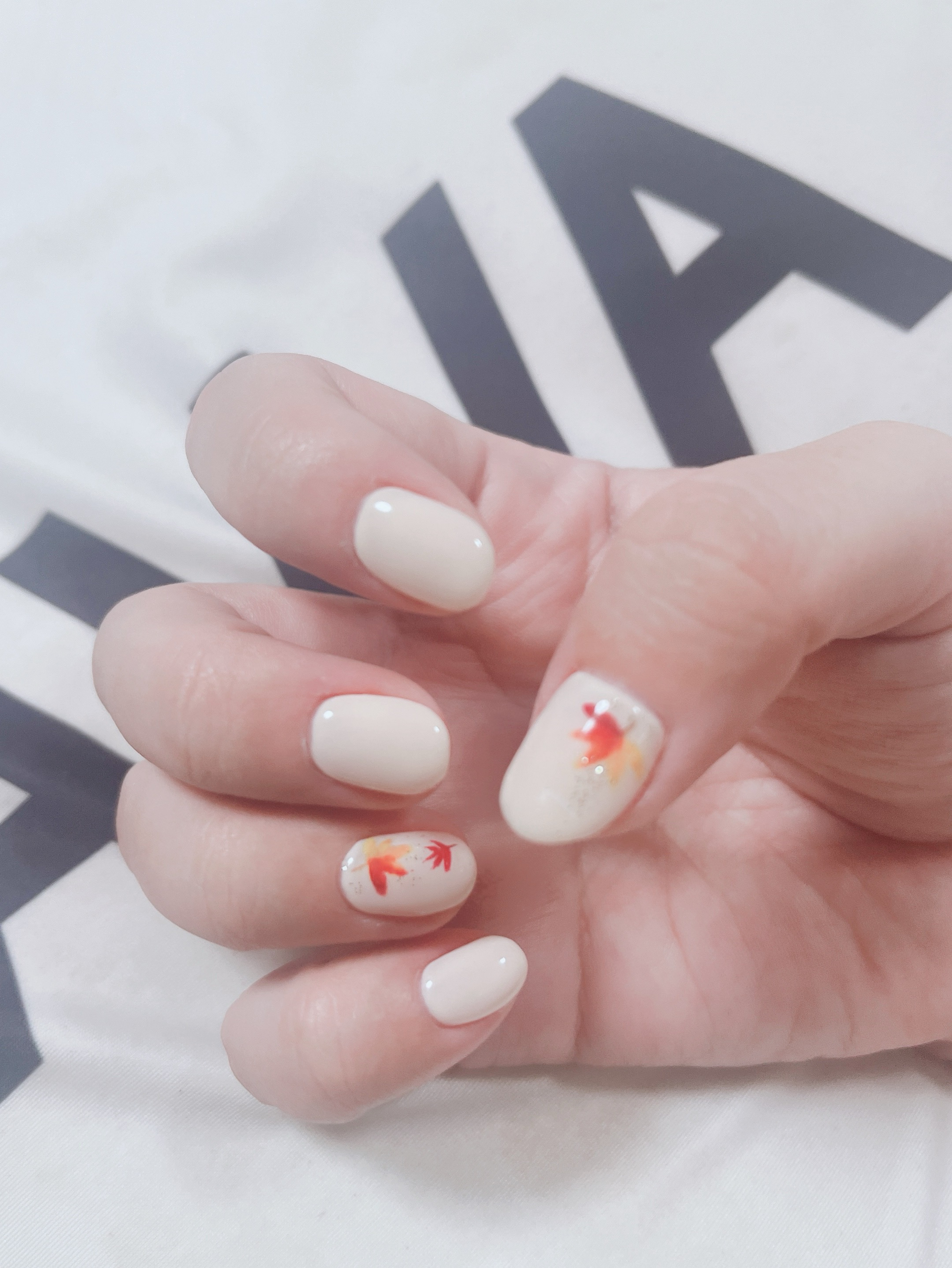 30分もないお時間