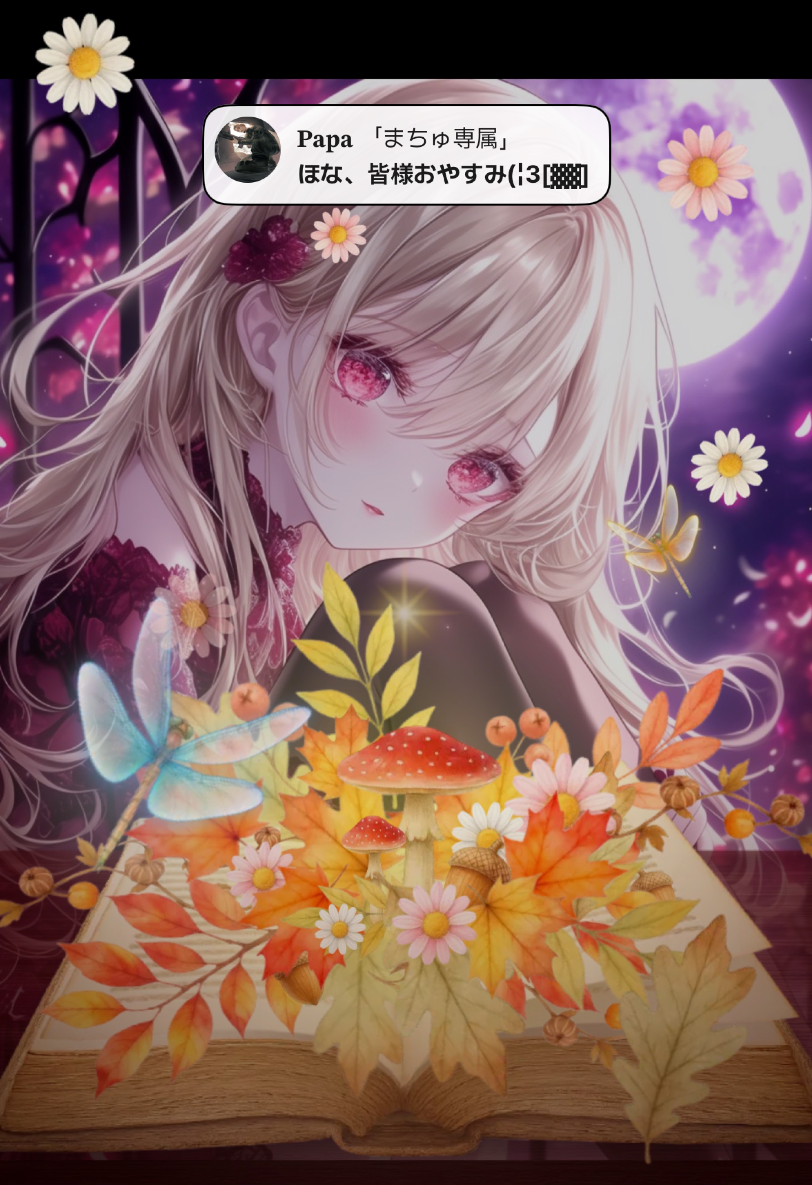 弾き語り🎹/機材歌