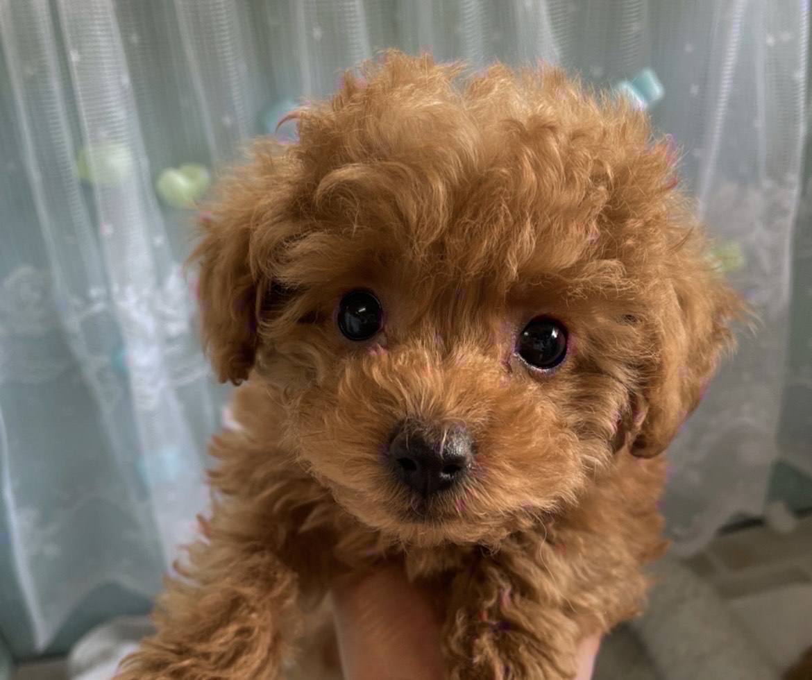 雑談兼寝落ち枠