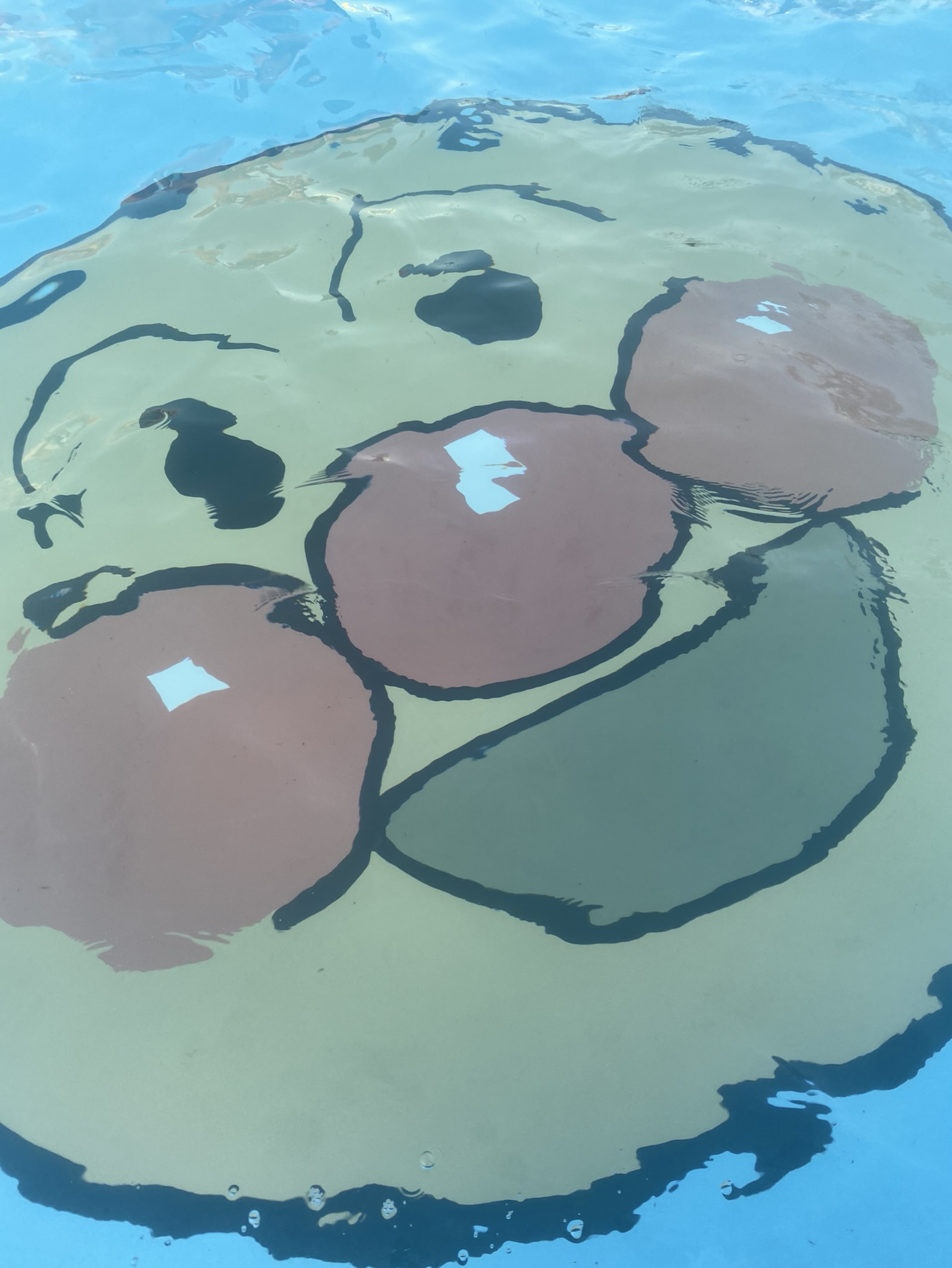 あなたの居場所𓂃◌𓈒𓐍