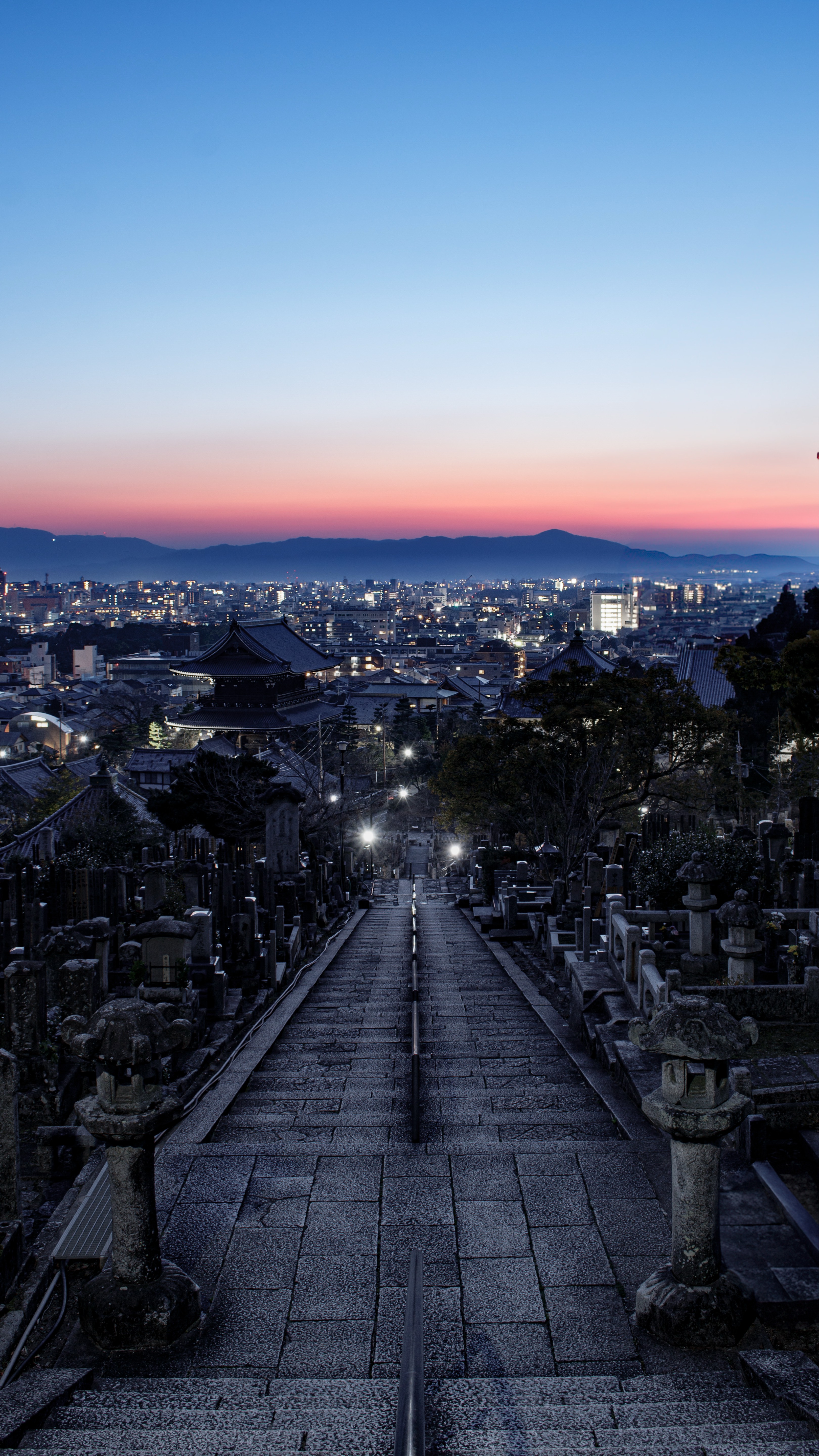 おやすみ前のひととき