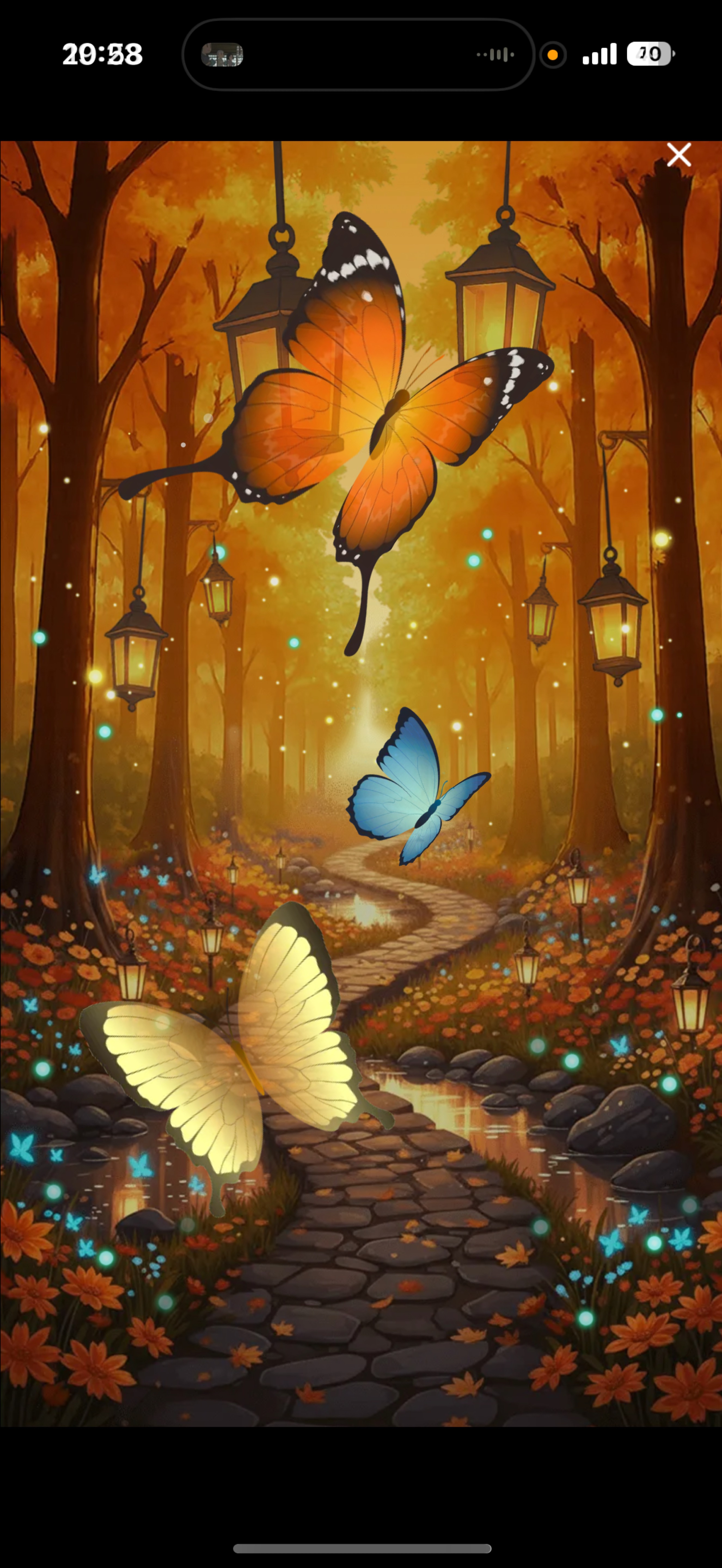 初は落潜◎ ゆるーく笑えたら