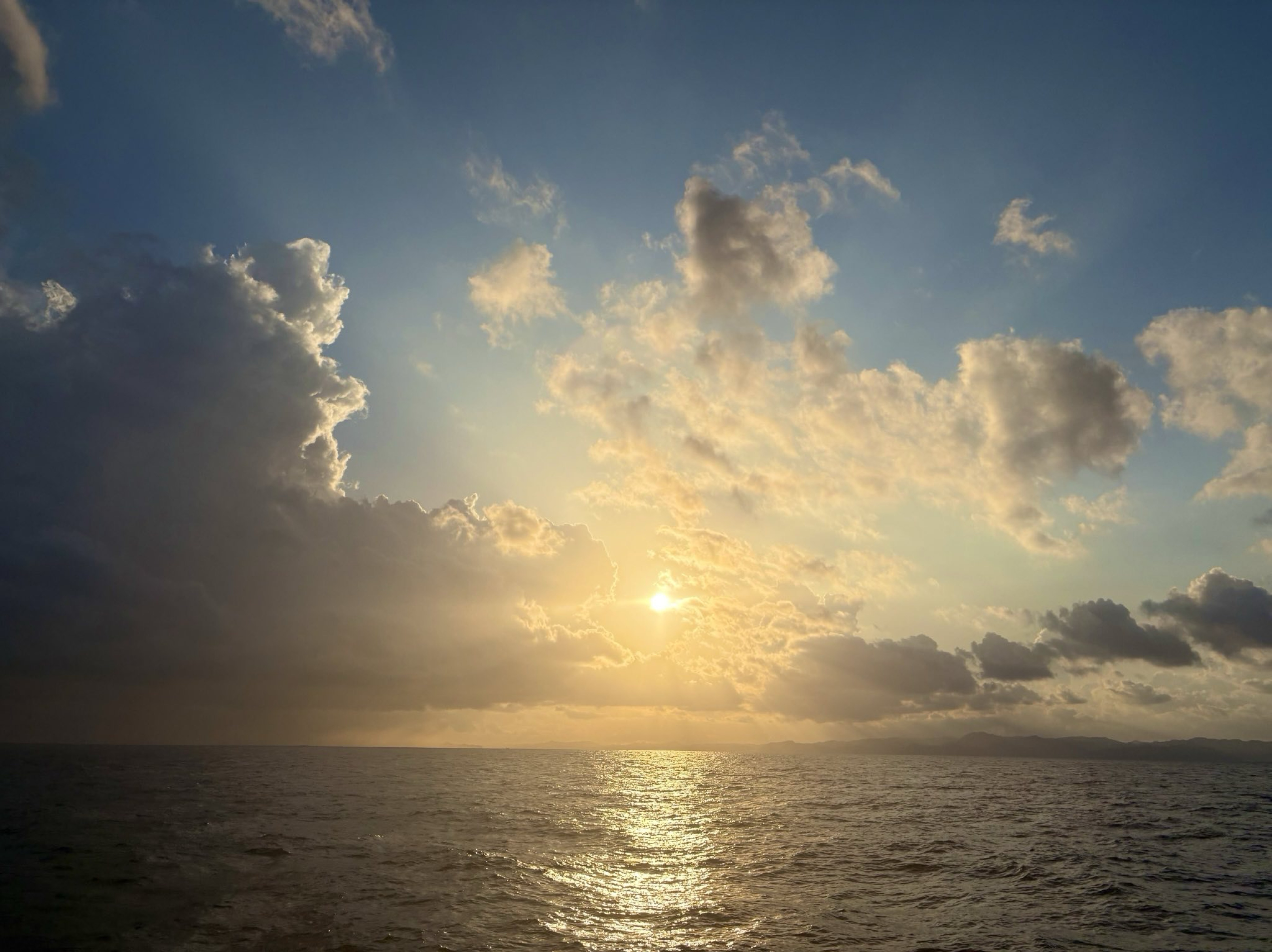 ごはんを作って食べる人