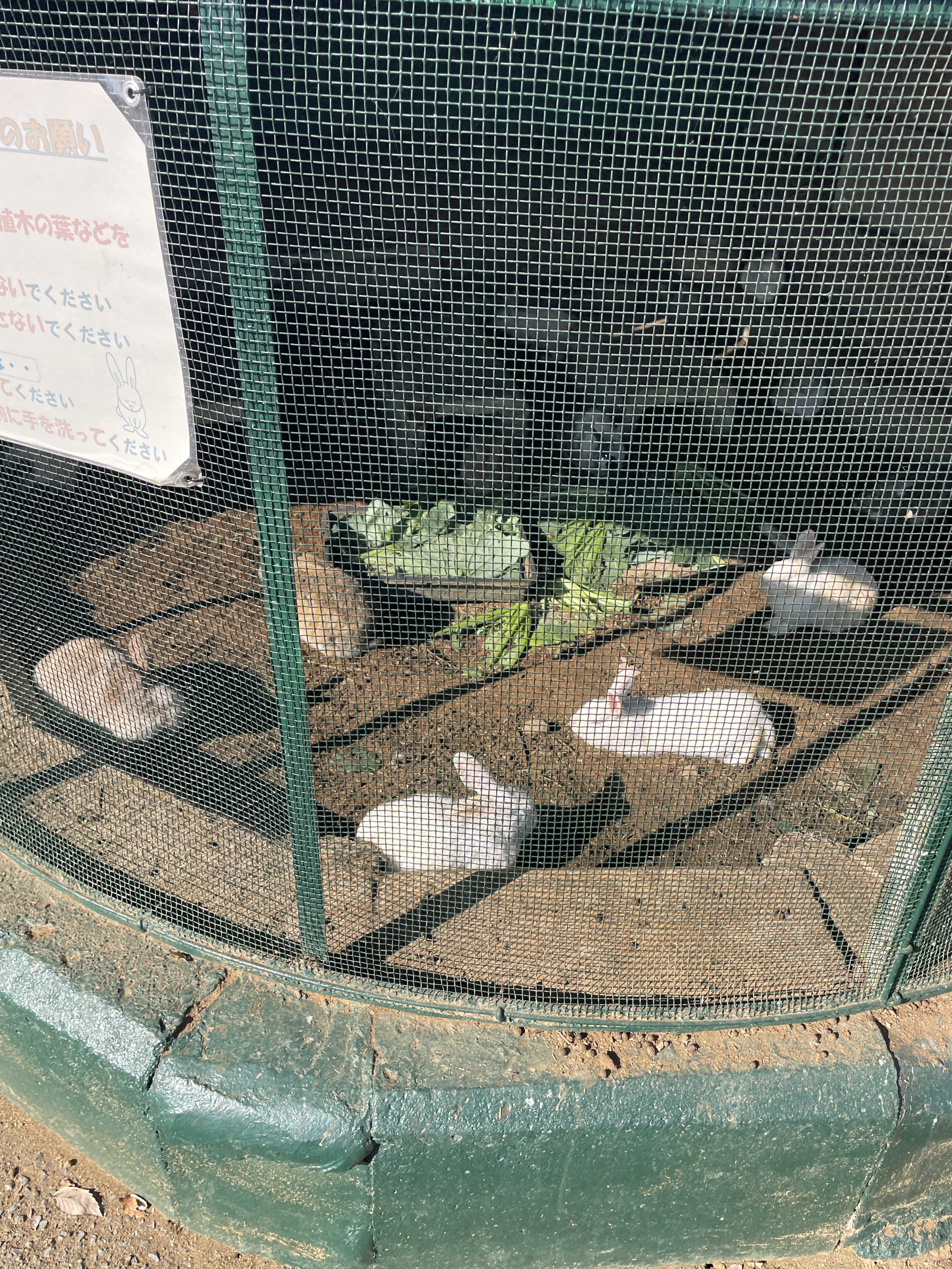 初見凸⭕️男禁止