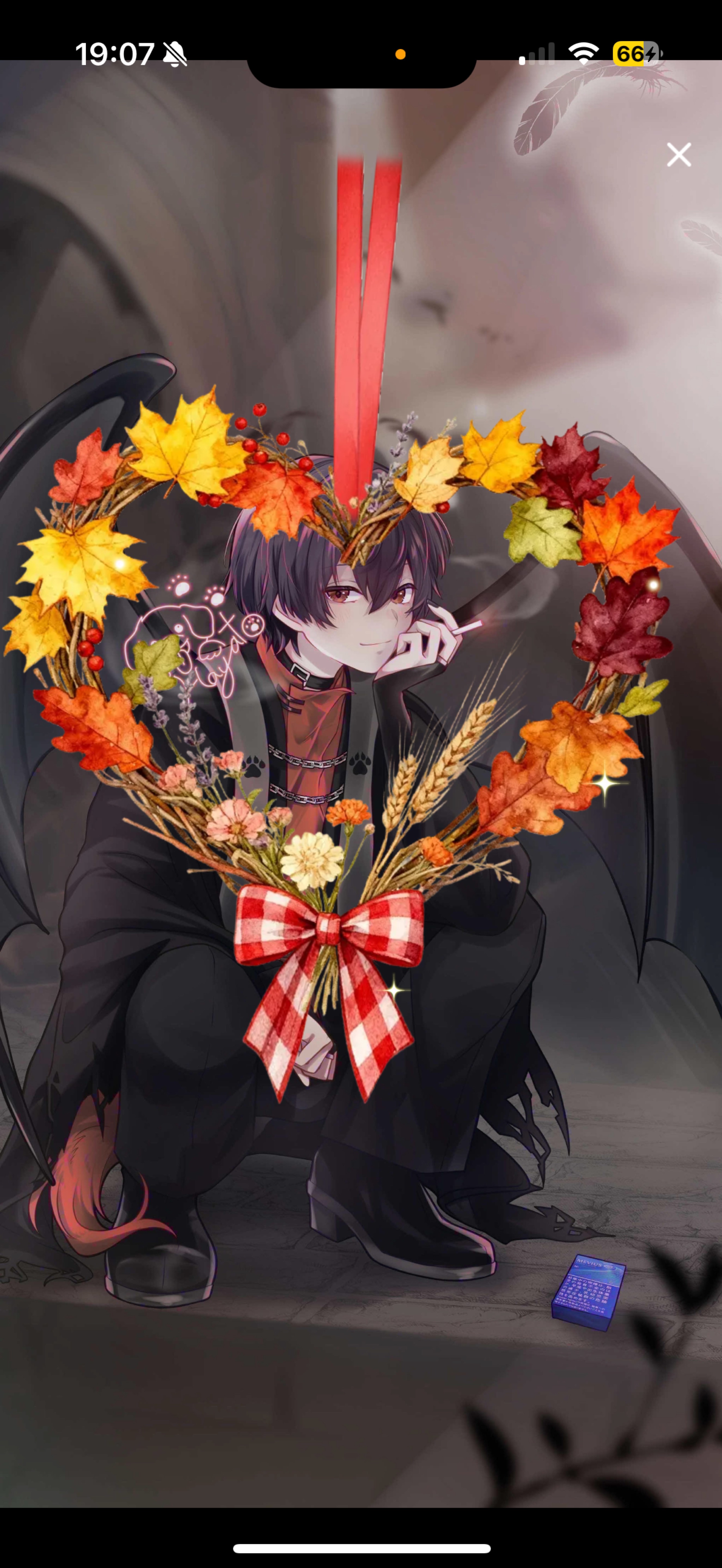 初◎ 貴方の癒しになれたら