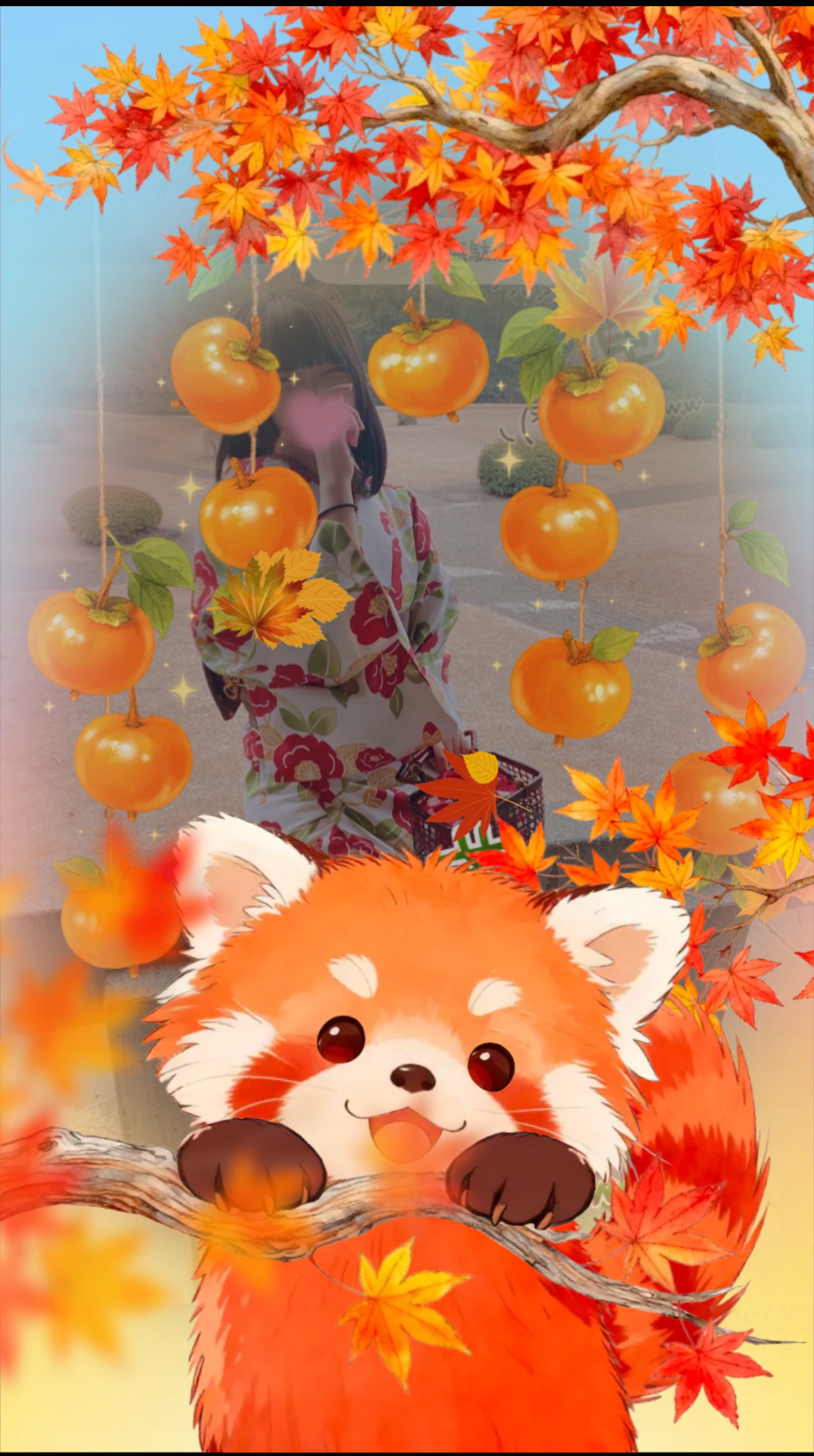 弾き語り🎹/機材歌