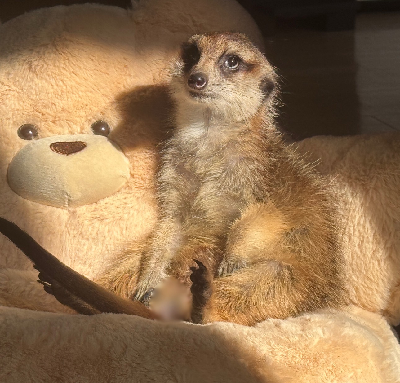 雑談¦朝のBGMに🌿🥯