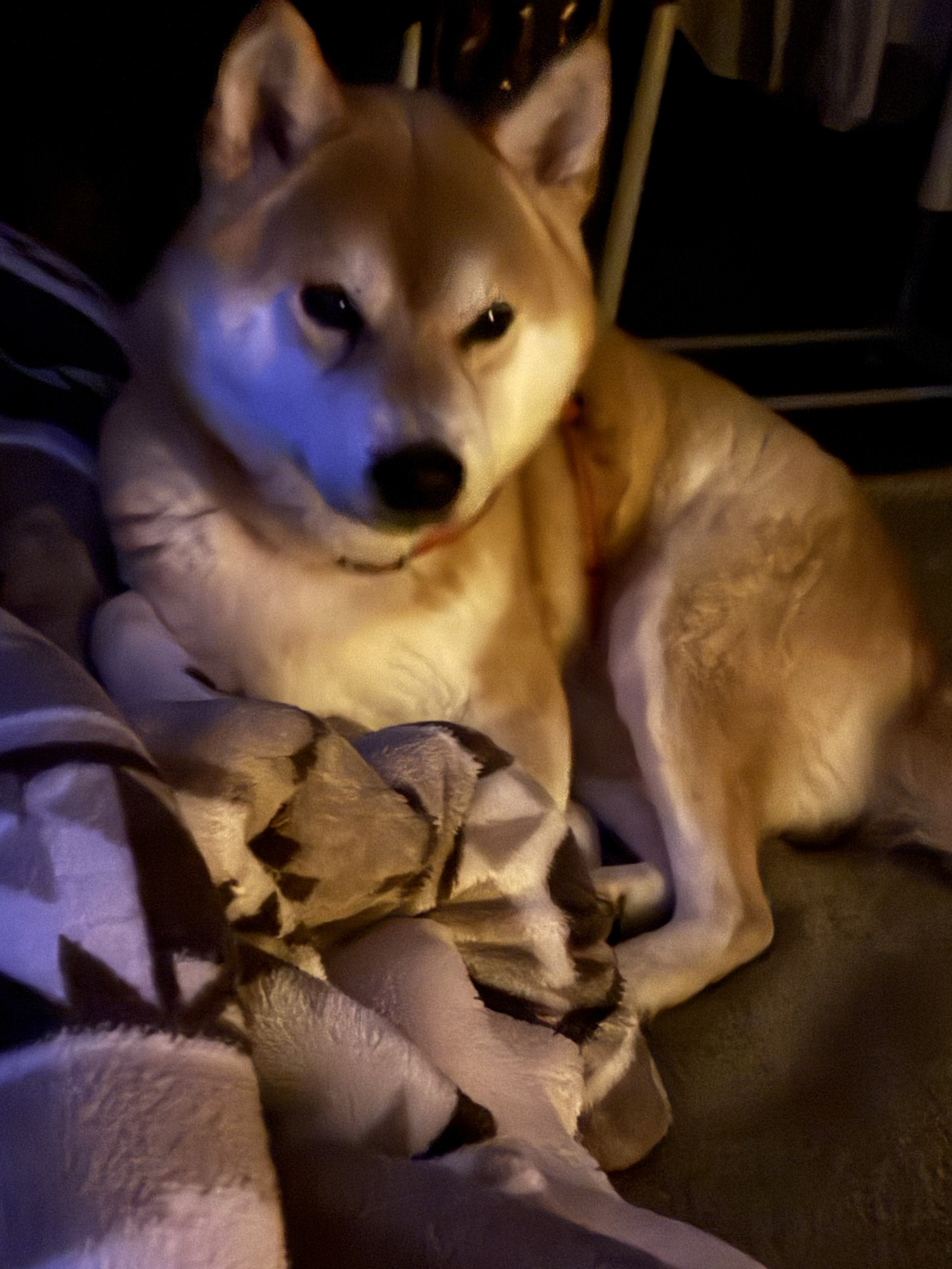 初潜〇寒いね外