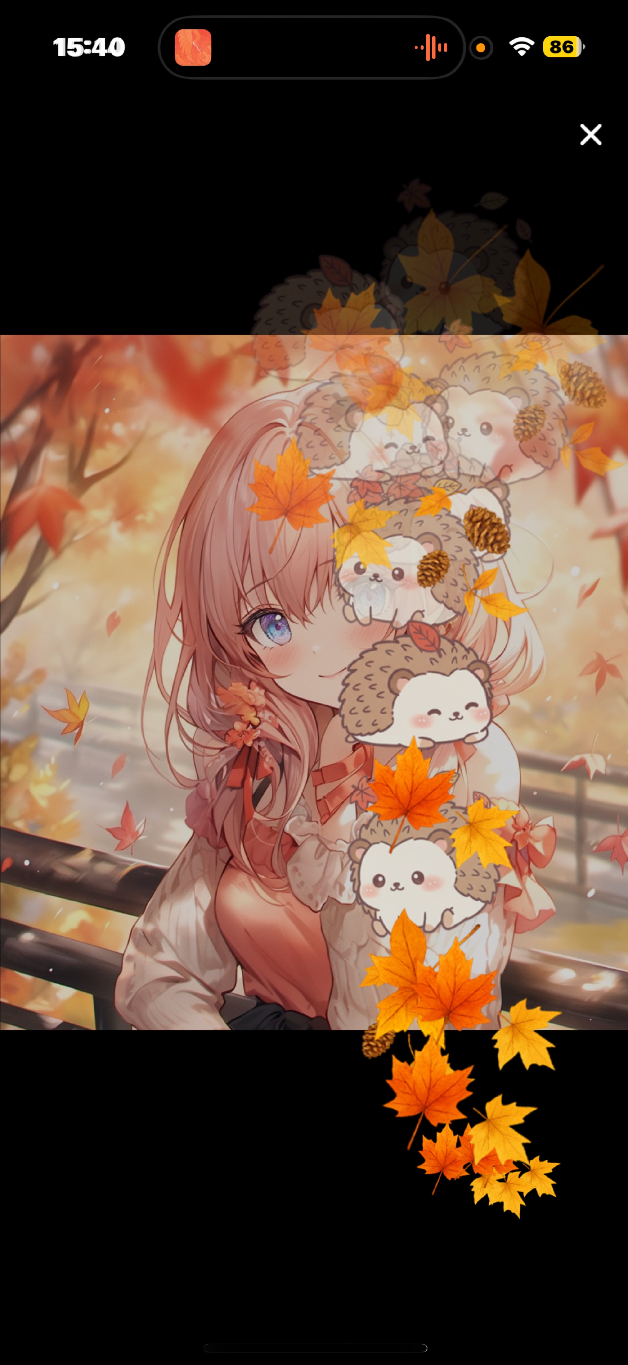 🔰歓迎・ハー落ちOK!気楽に来てね。