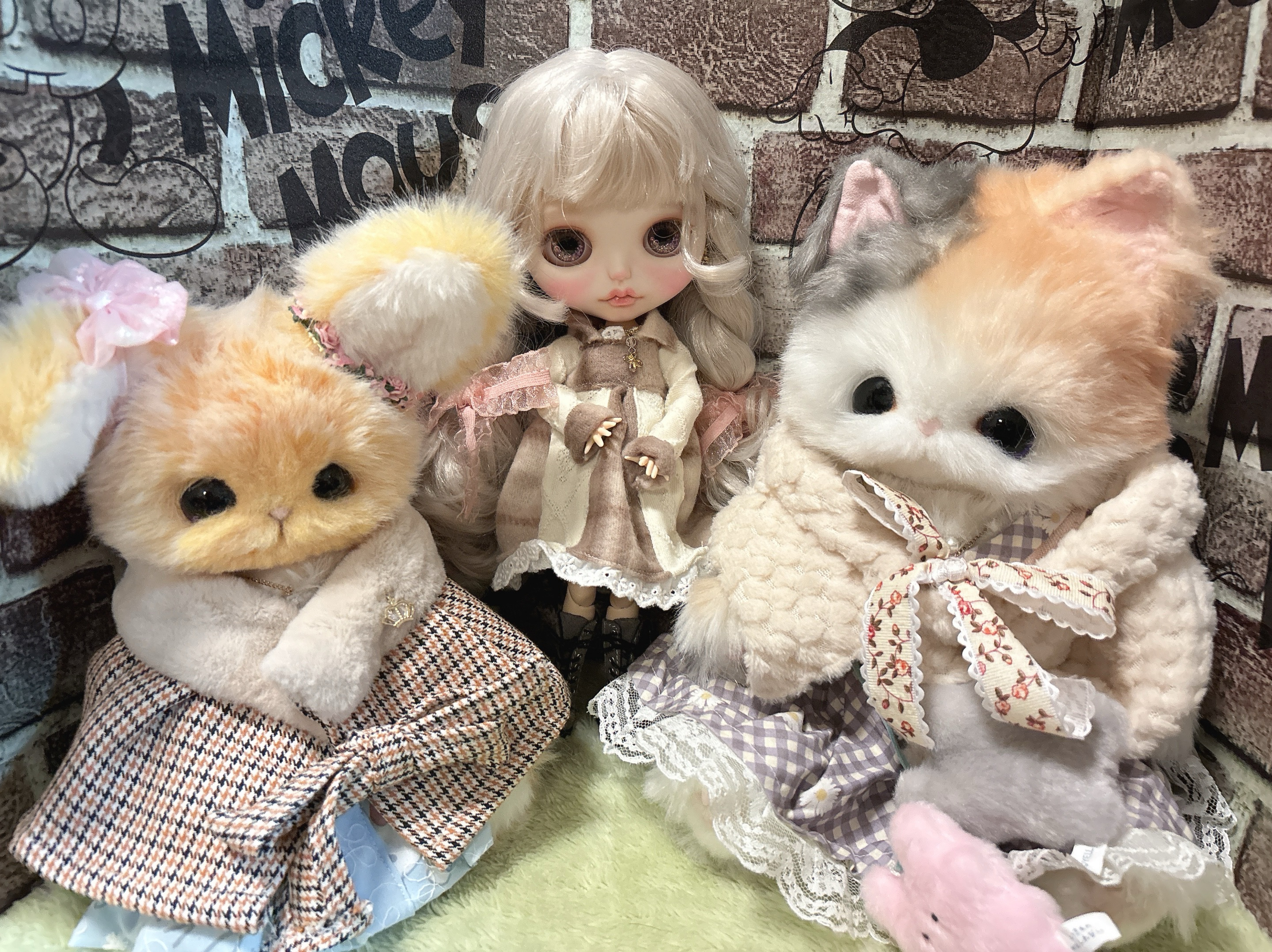 🔰歓迎・ハー落ちOK!気楽に来てね。