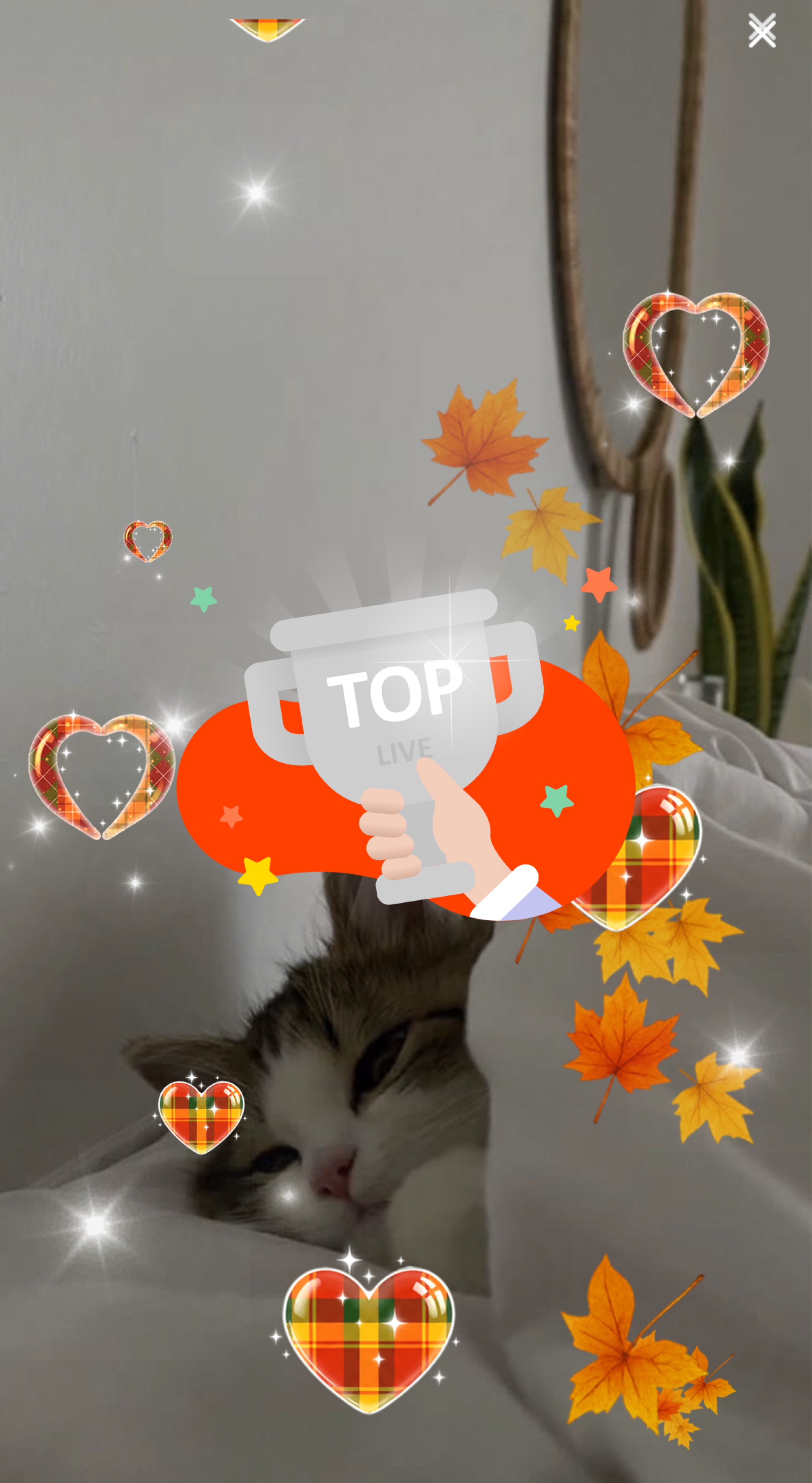 弾き語り✡︎⋆꙳