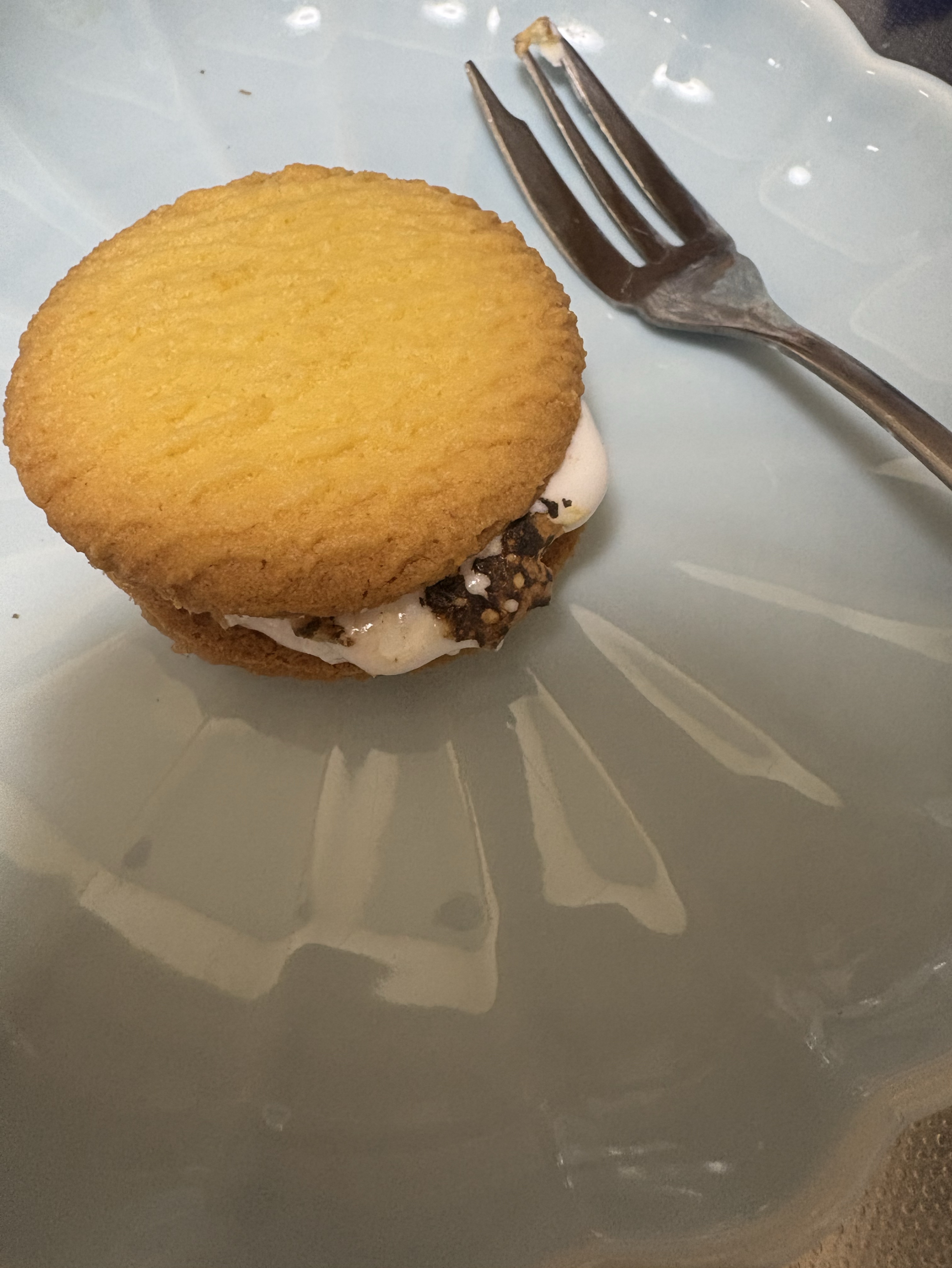 初潜◎お昼だよー🫵🏼