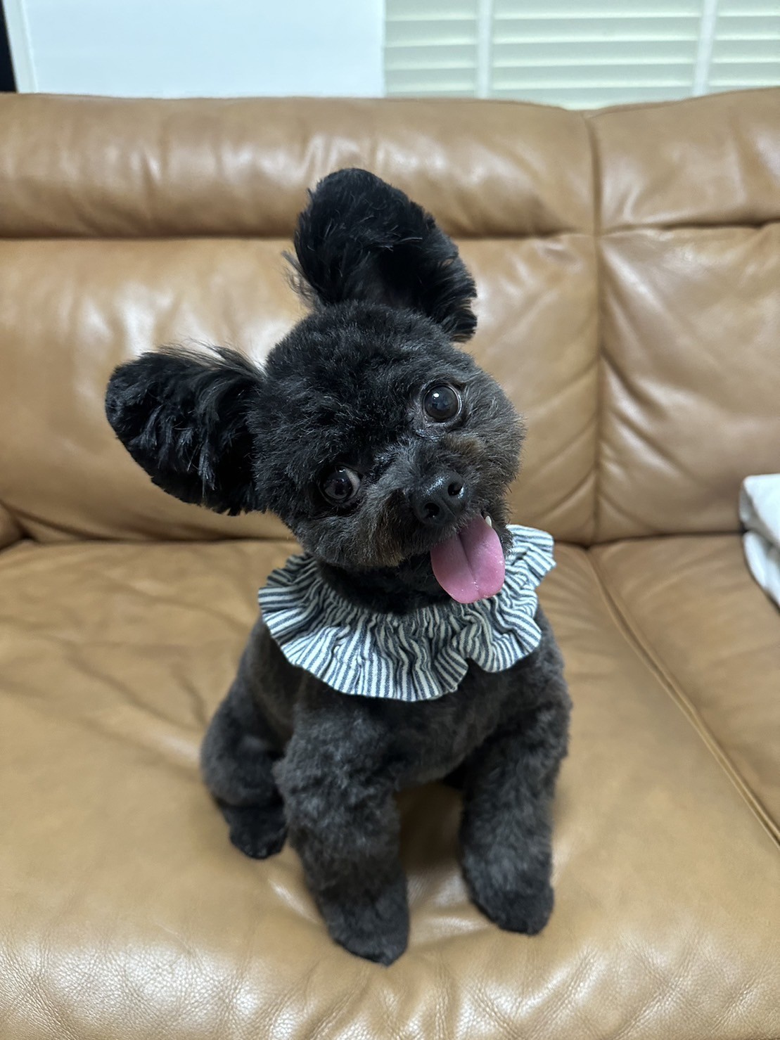 話し相手になって❤