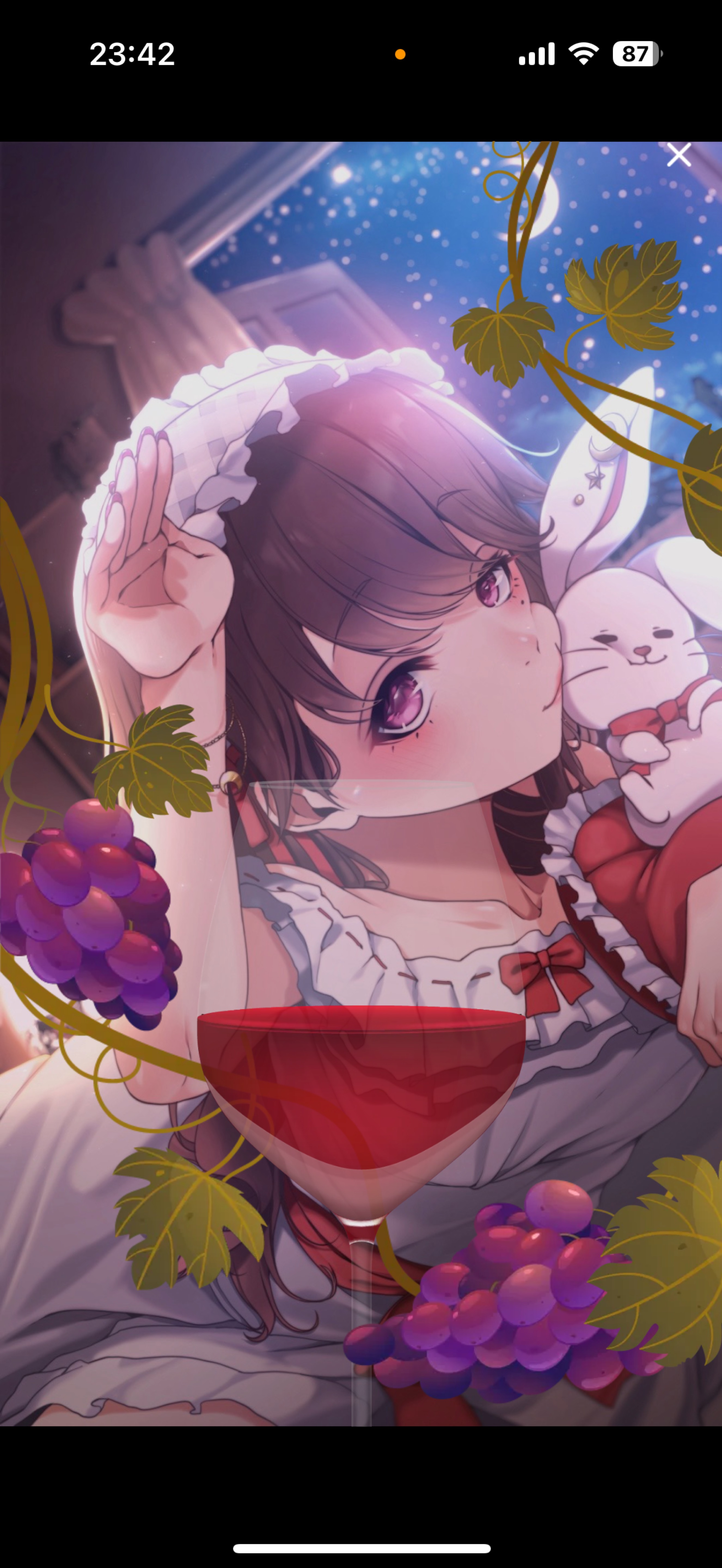 夜はここ！みんないらっしゃい！