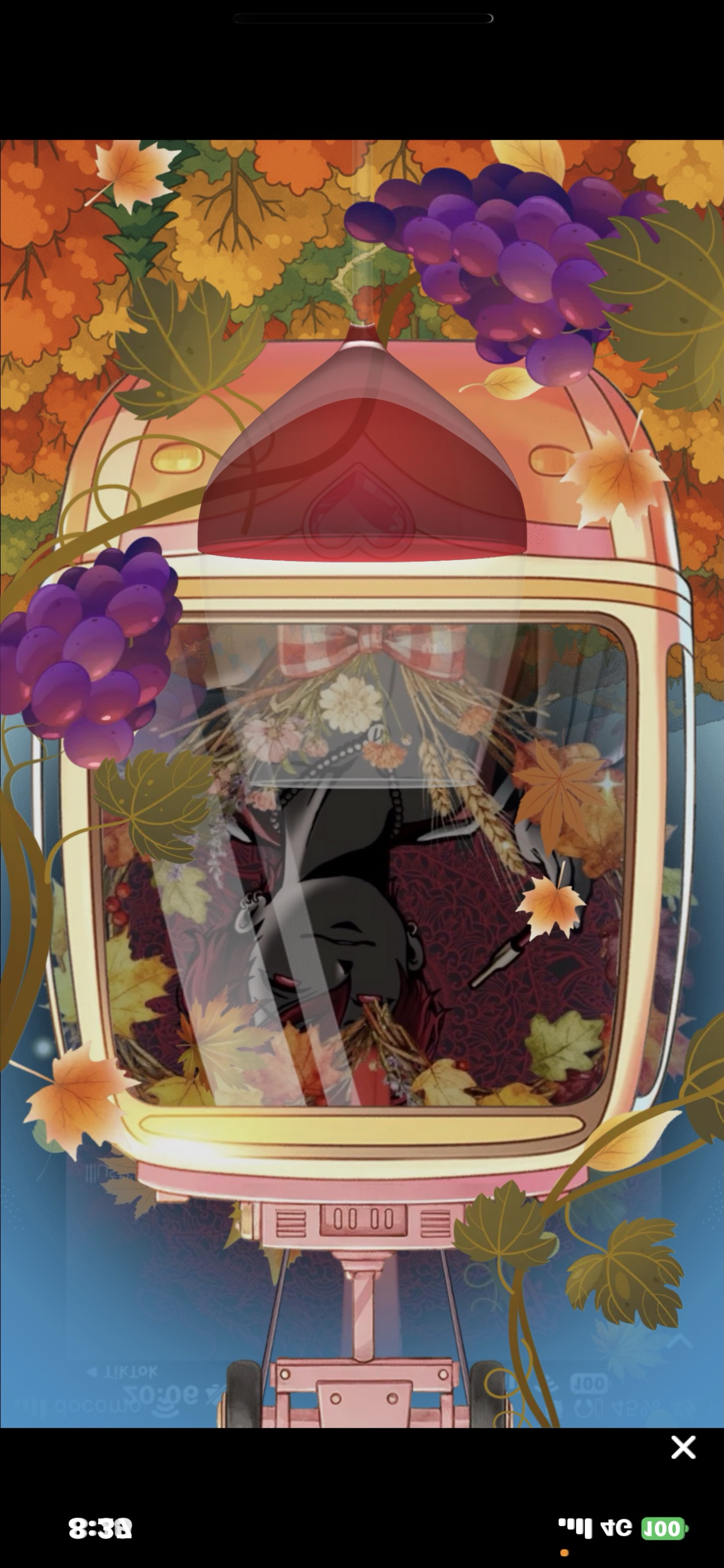 𝑭𝑹𝑬𝑬𝑫𝑶𝑴