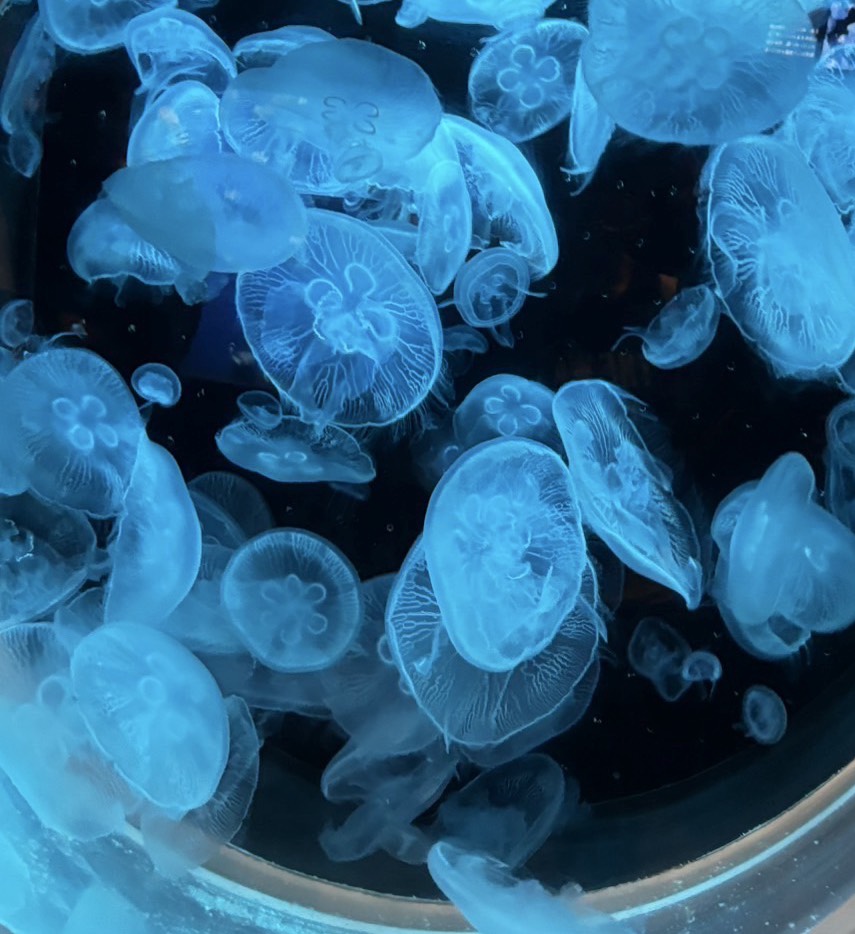 ゆったり楽しむ枠話さへん？