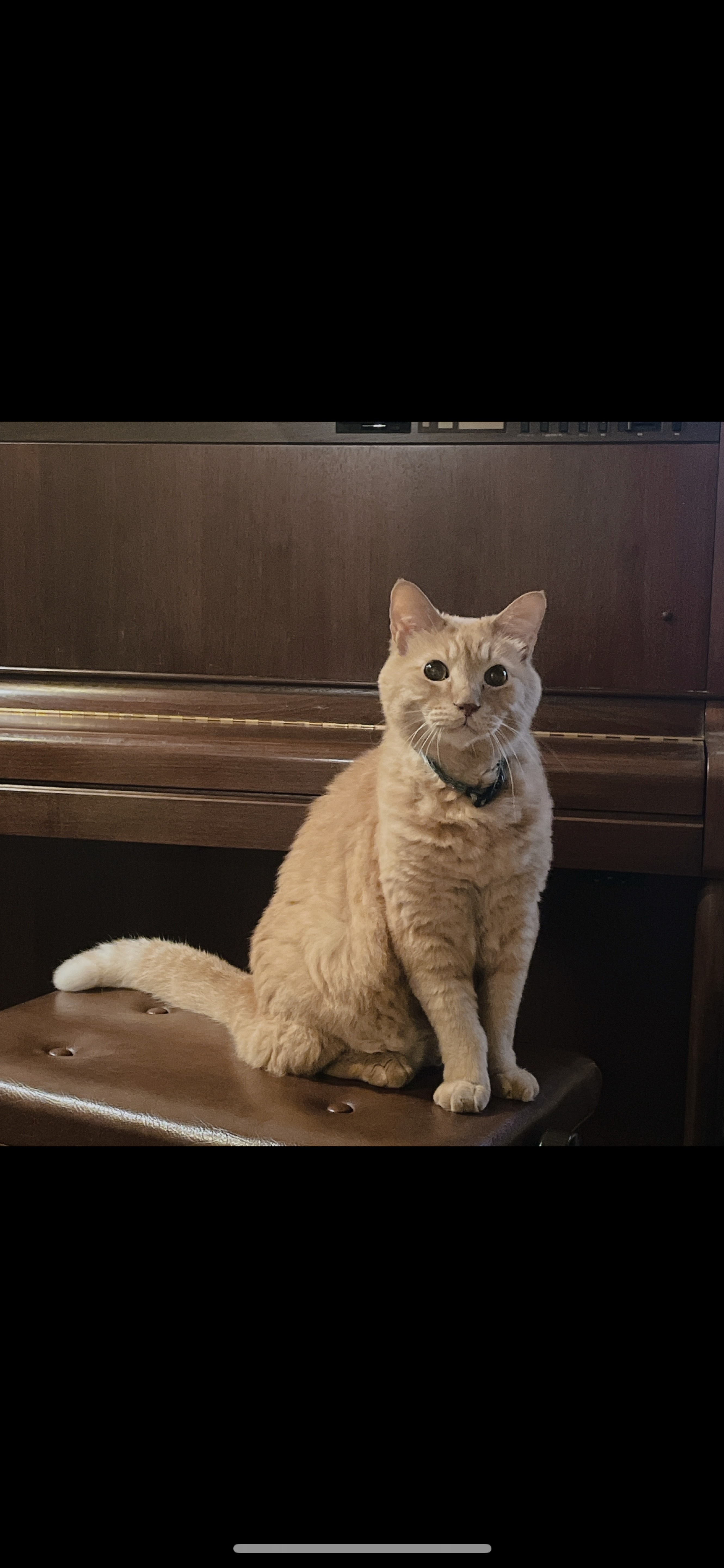 寝なさいね 2:00close🎬