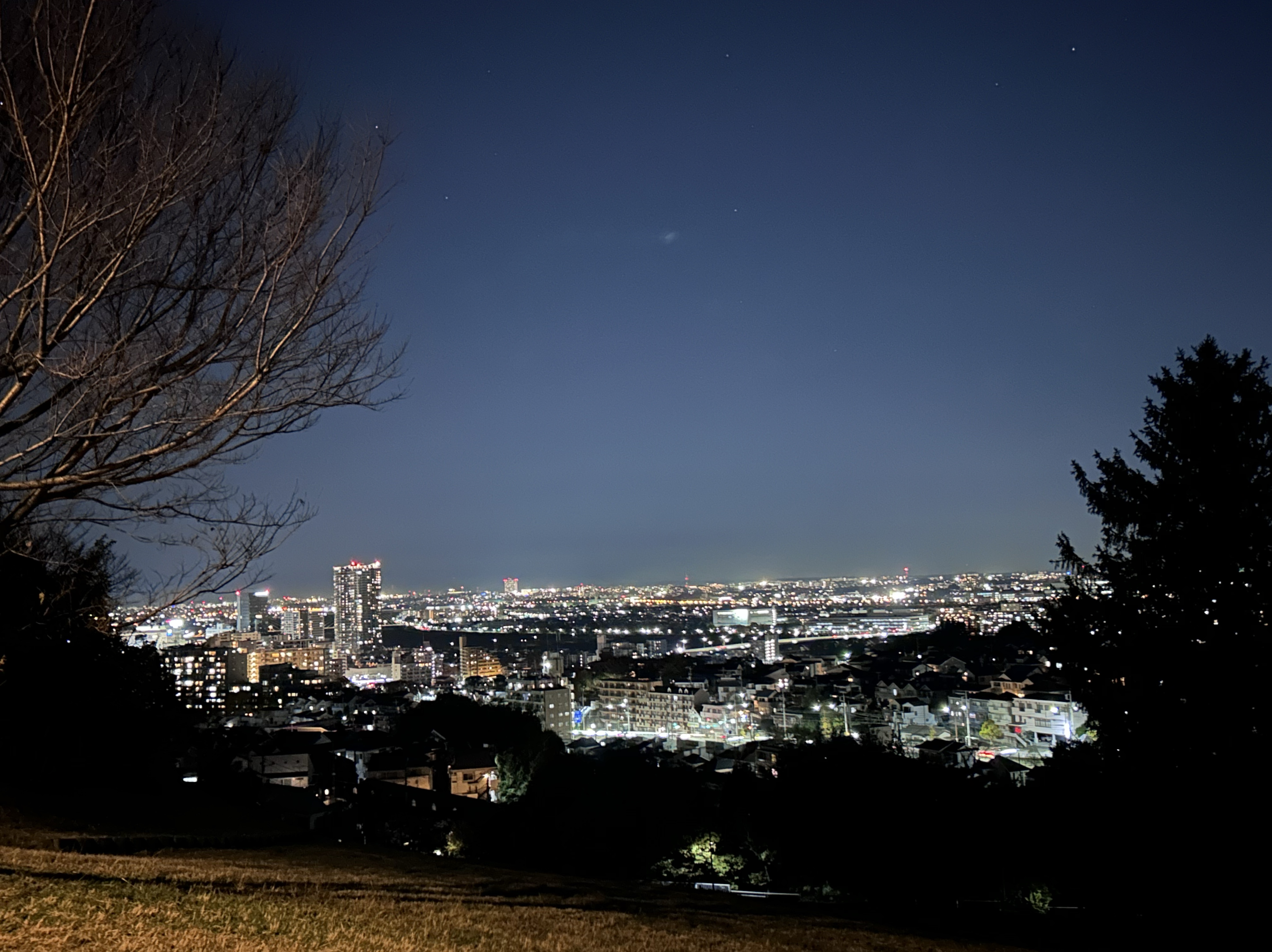 落ち着く声かも