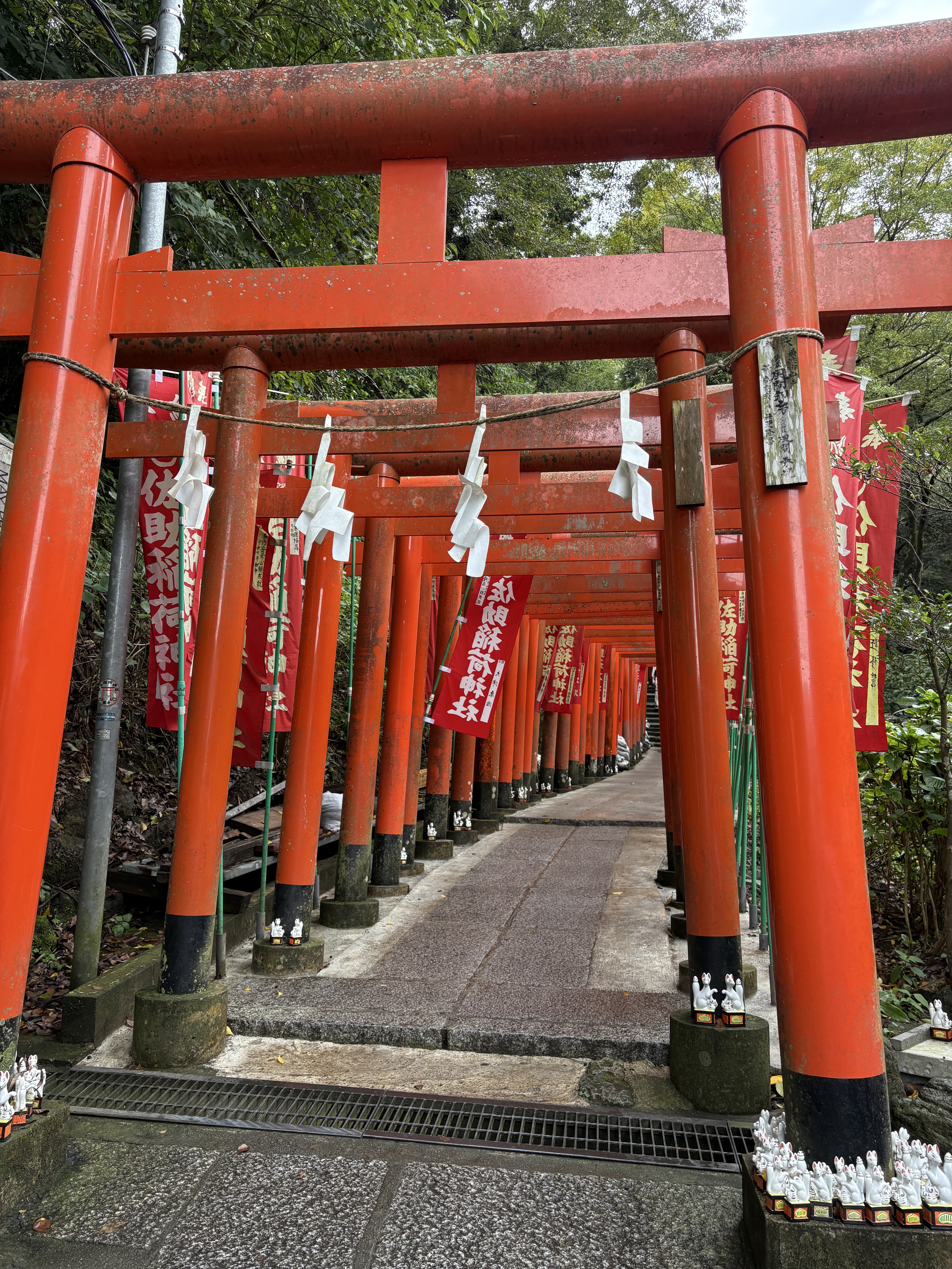 初&潜◎ 無機材 おはよ〜