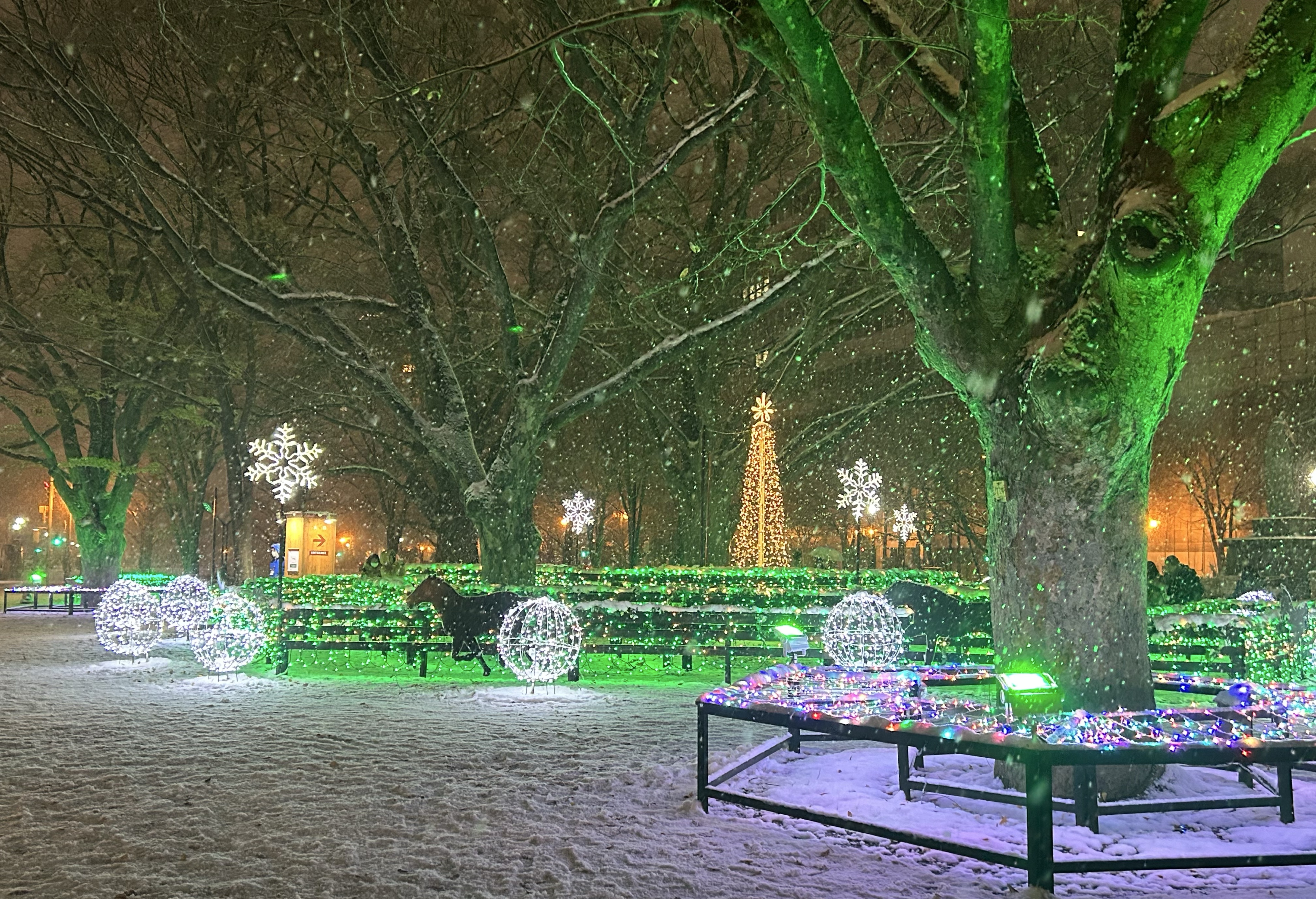 初見◎コラボ◎お喋り◎