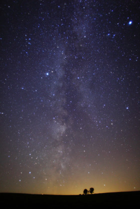 びびのお悩み相談室