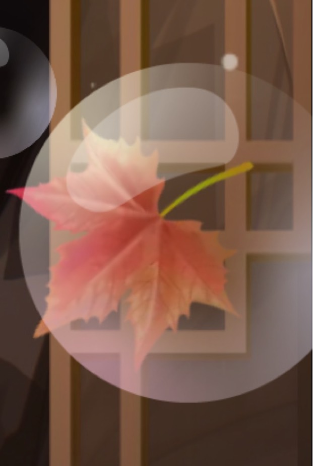 バスターどうぞ‼️‼️‼️