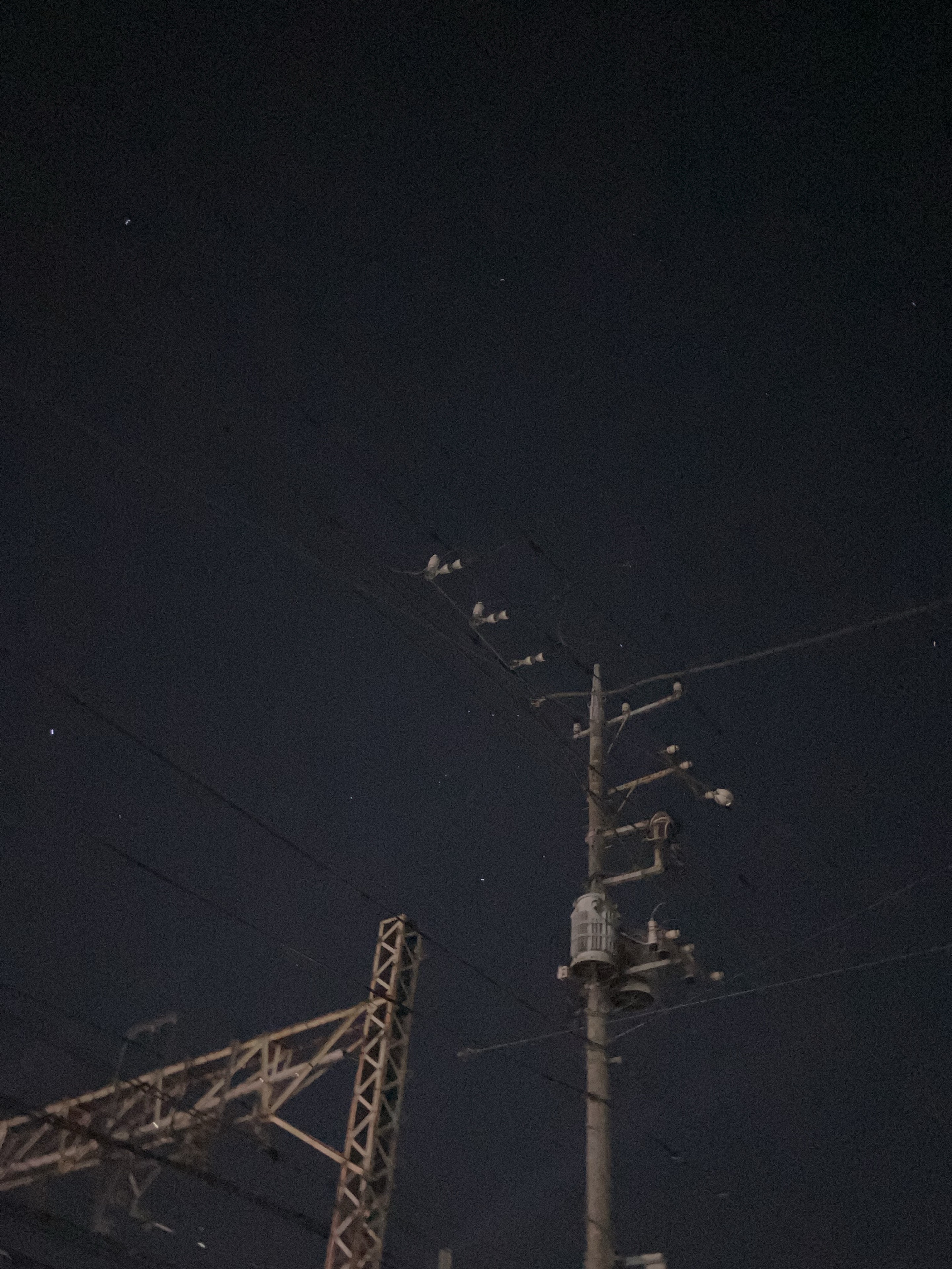 寝るまで話します